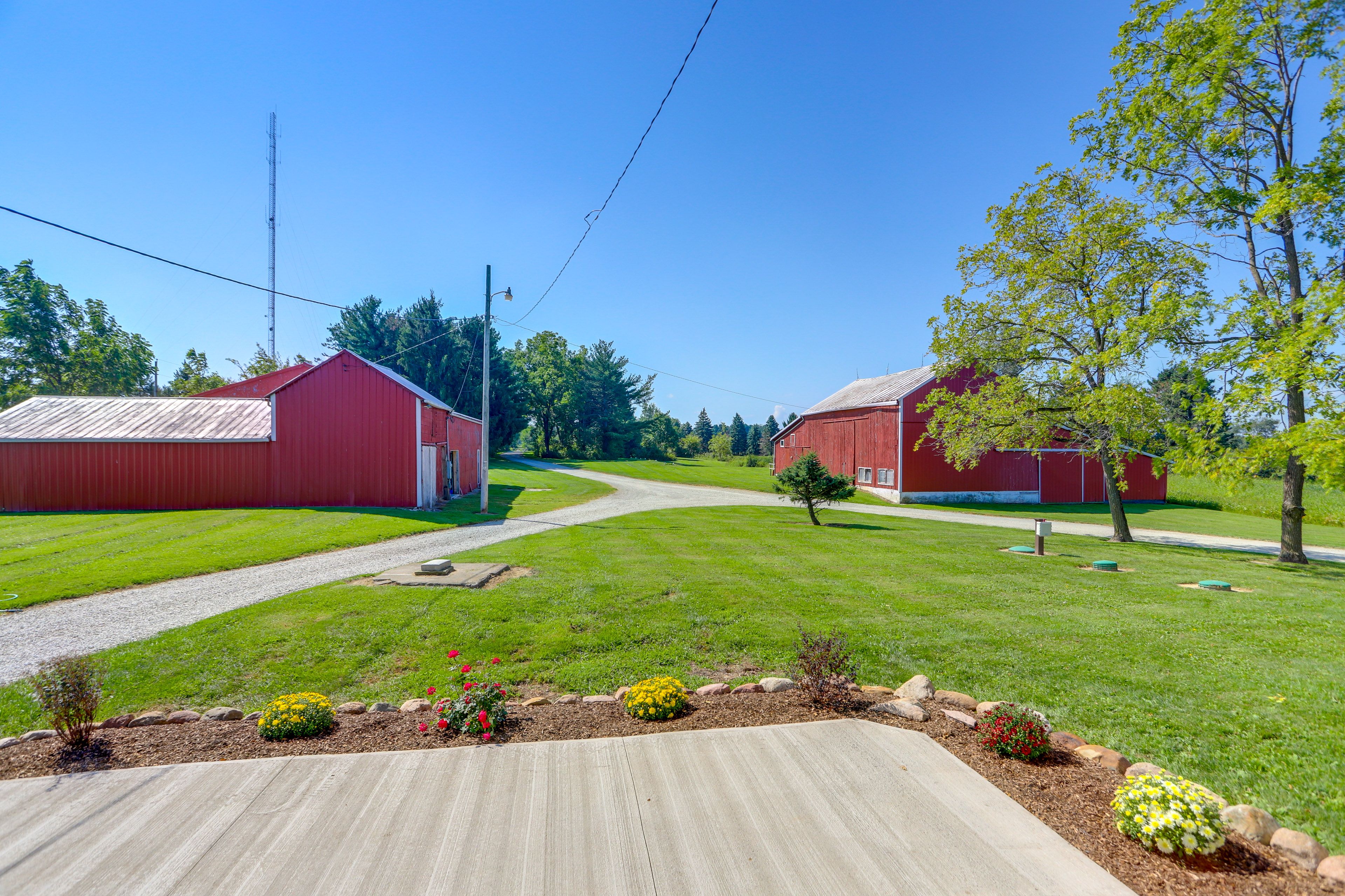 Yard Area