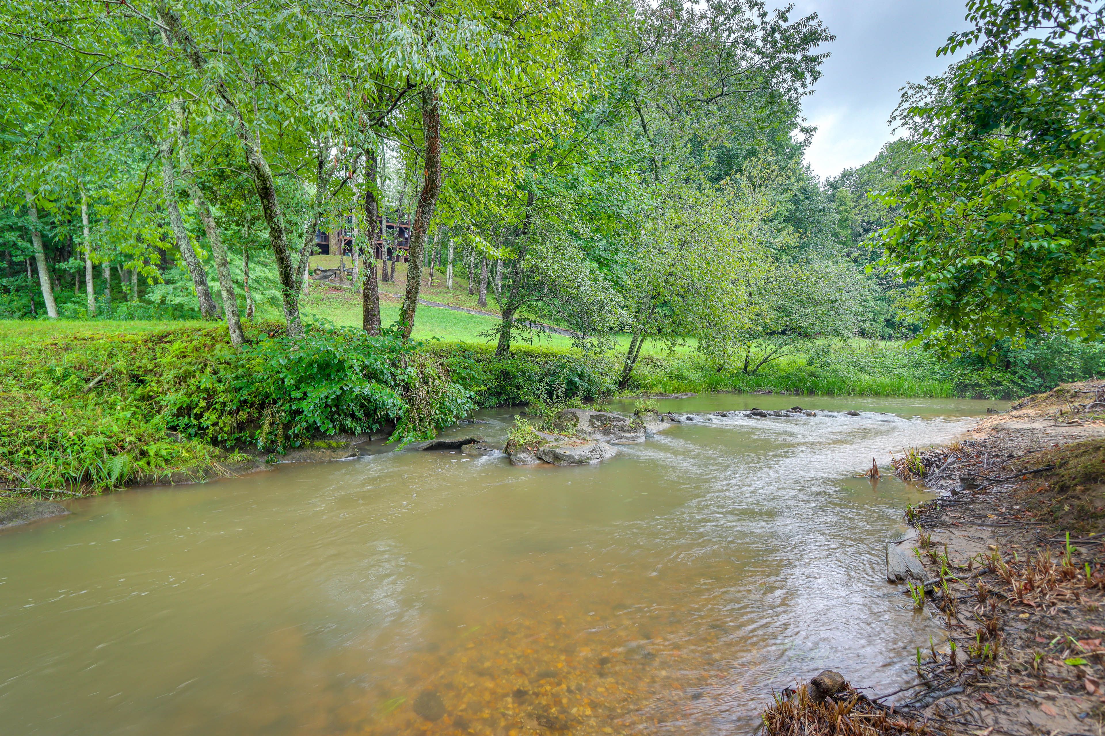 Image 25