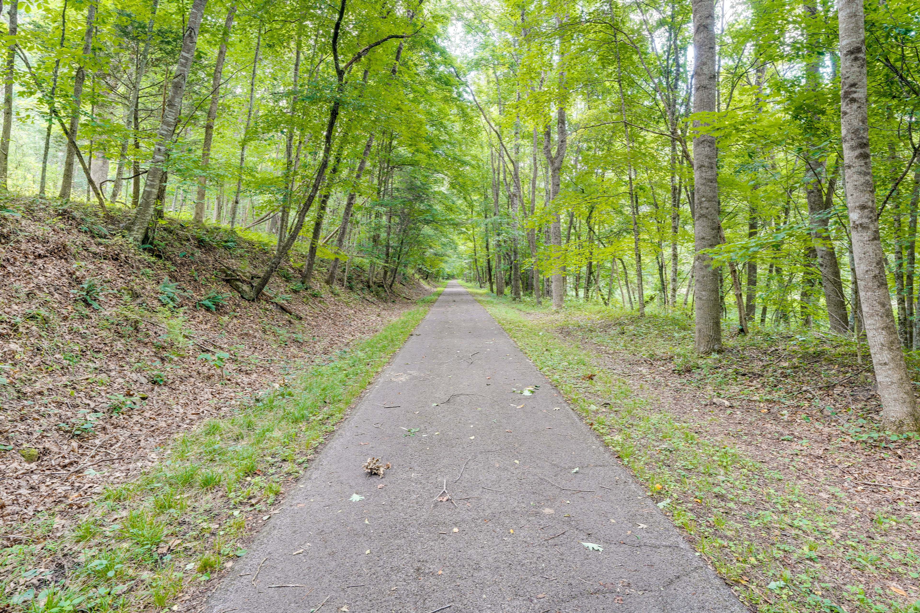 4.1-Acre Property | Greenbrier River Trail (Access On-Site)