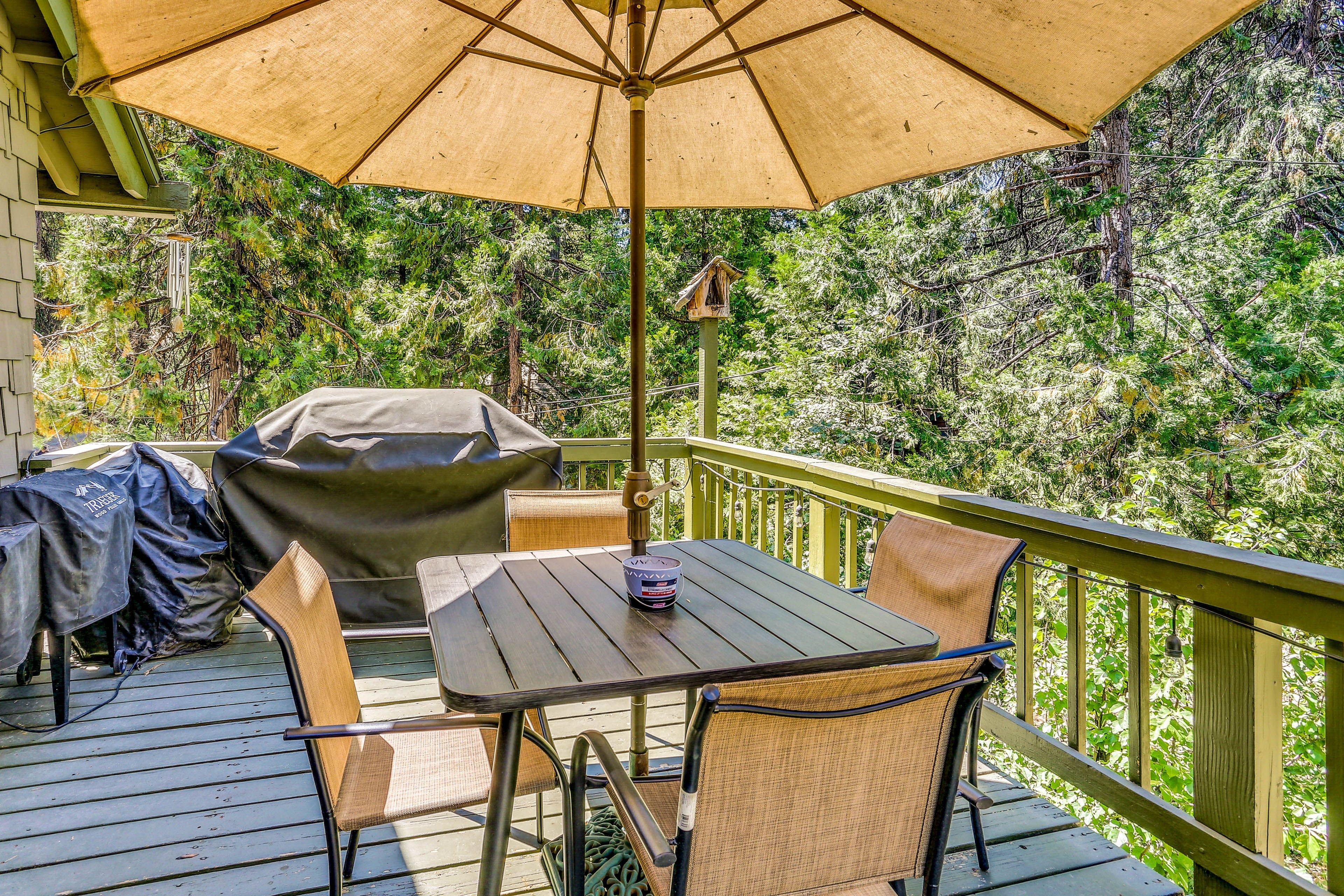 Deck | Gas Grill | Forest Views
