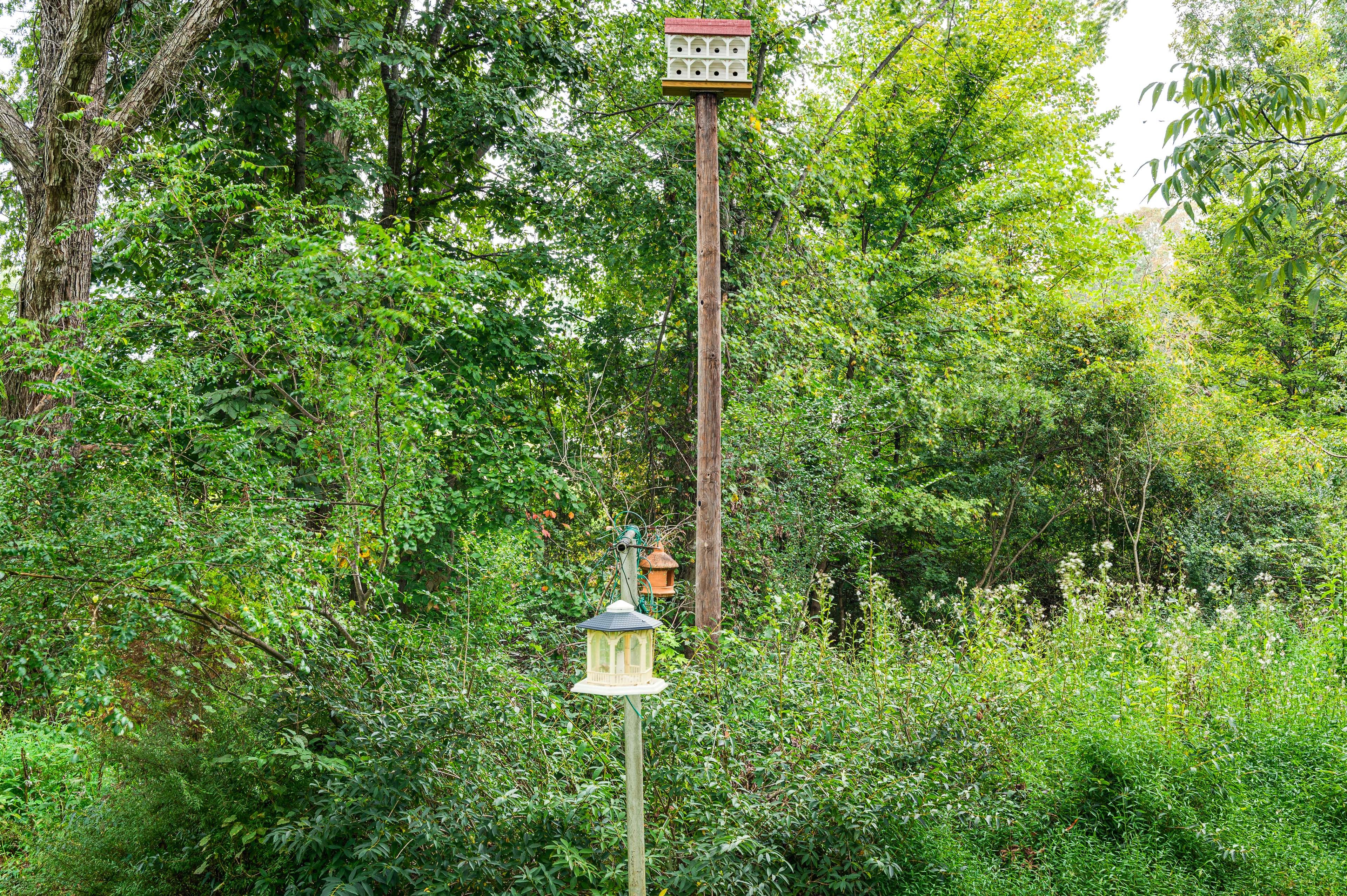 Image 30