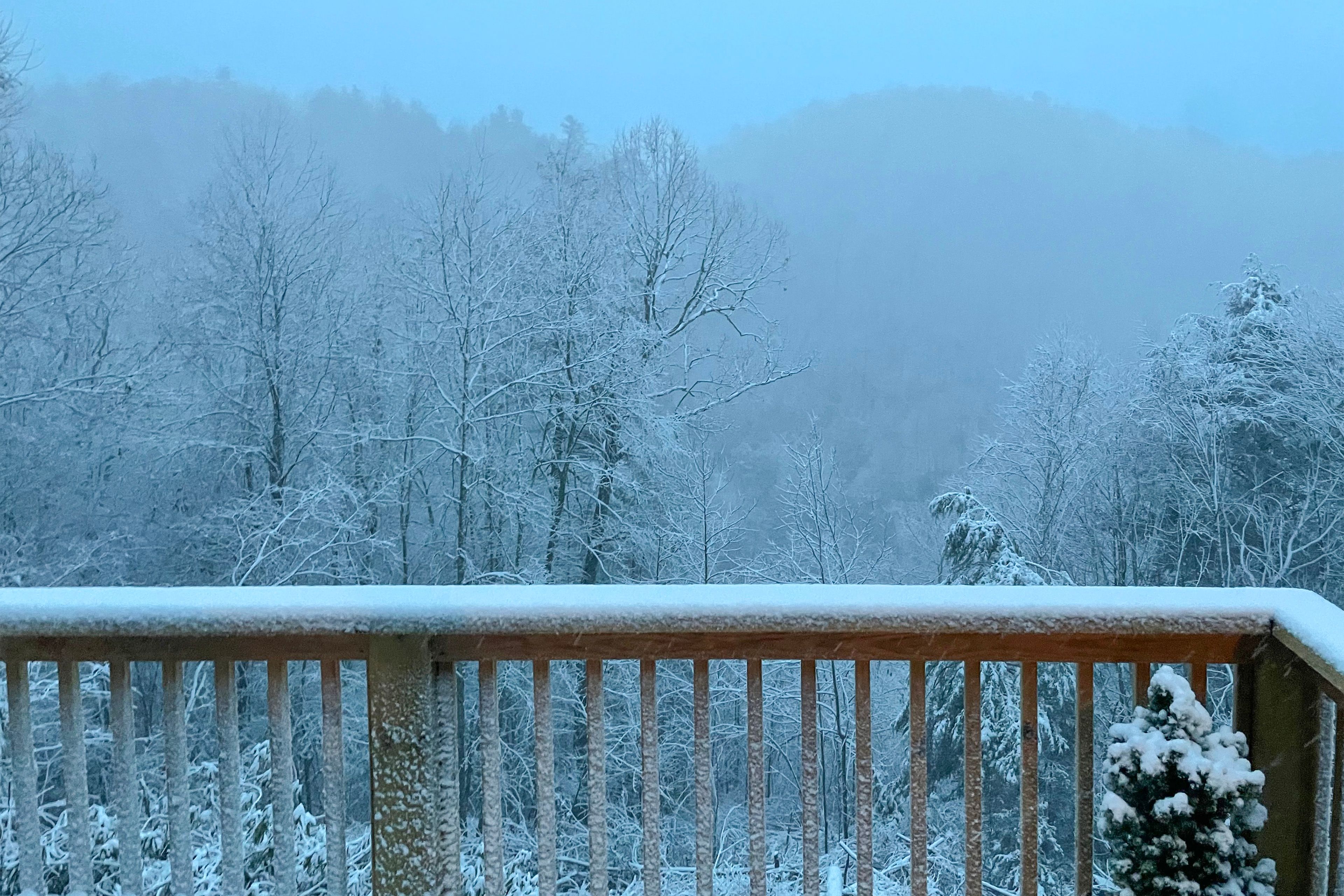 Winter Views