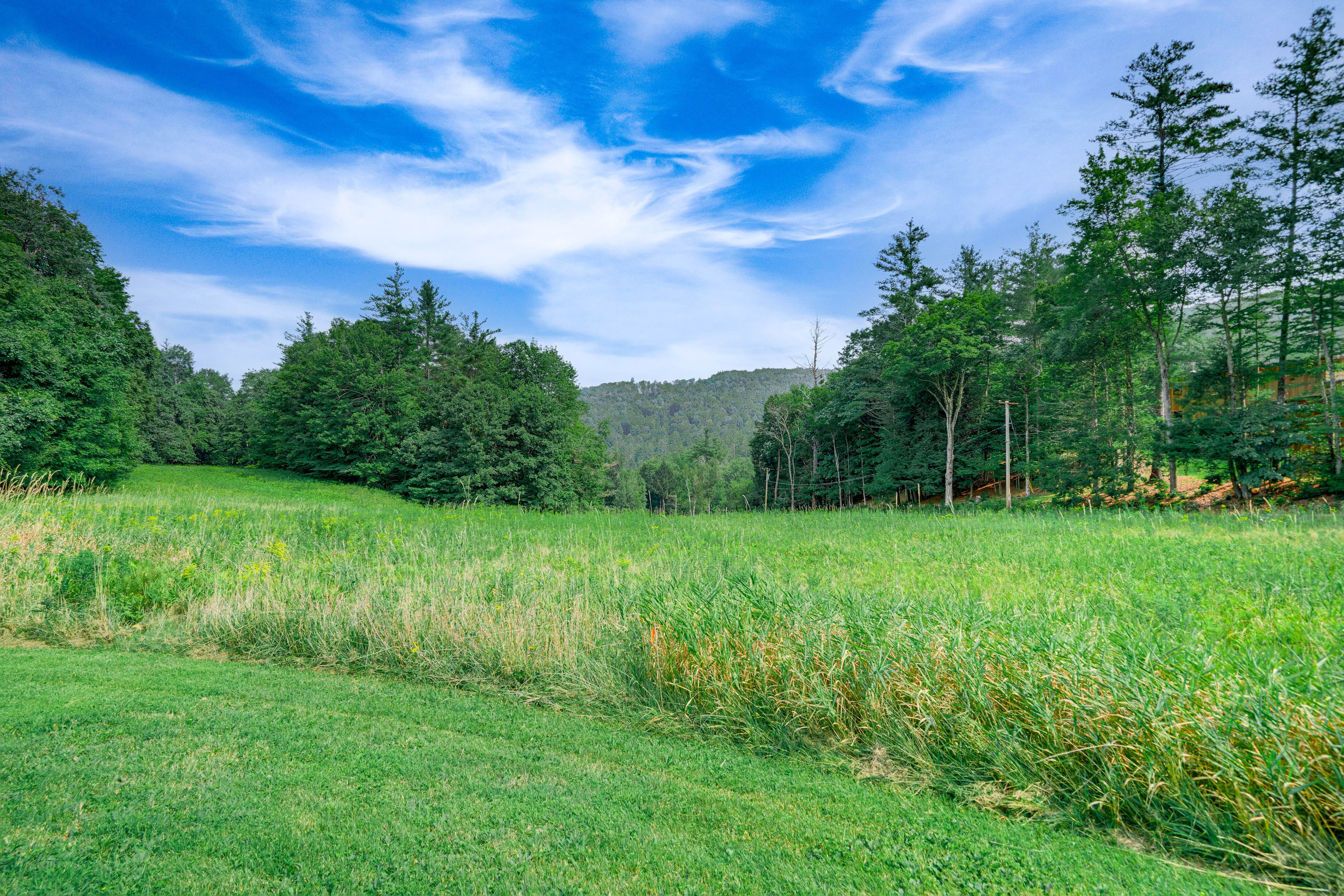 Property Views