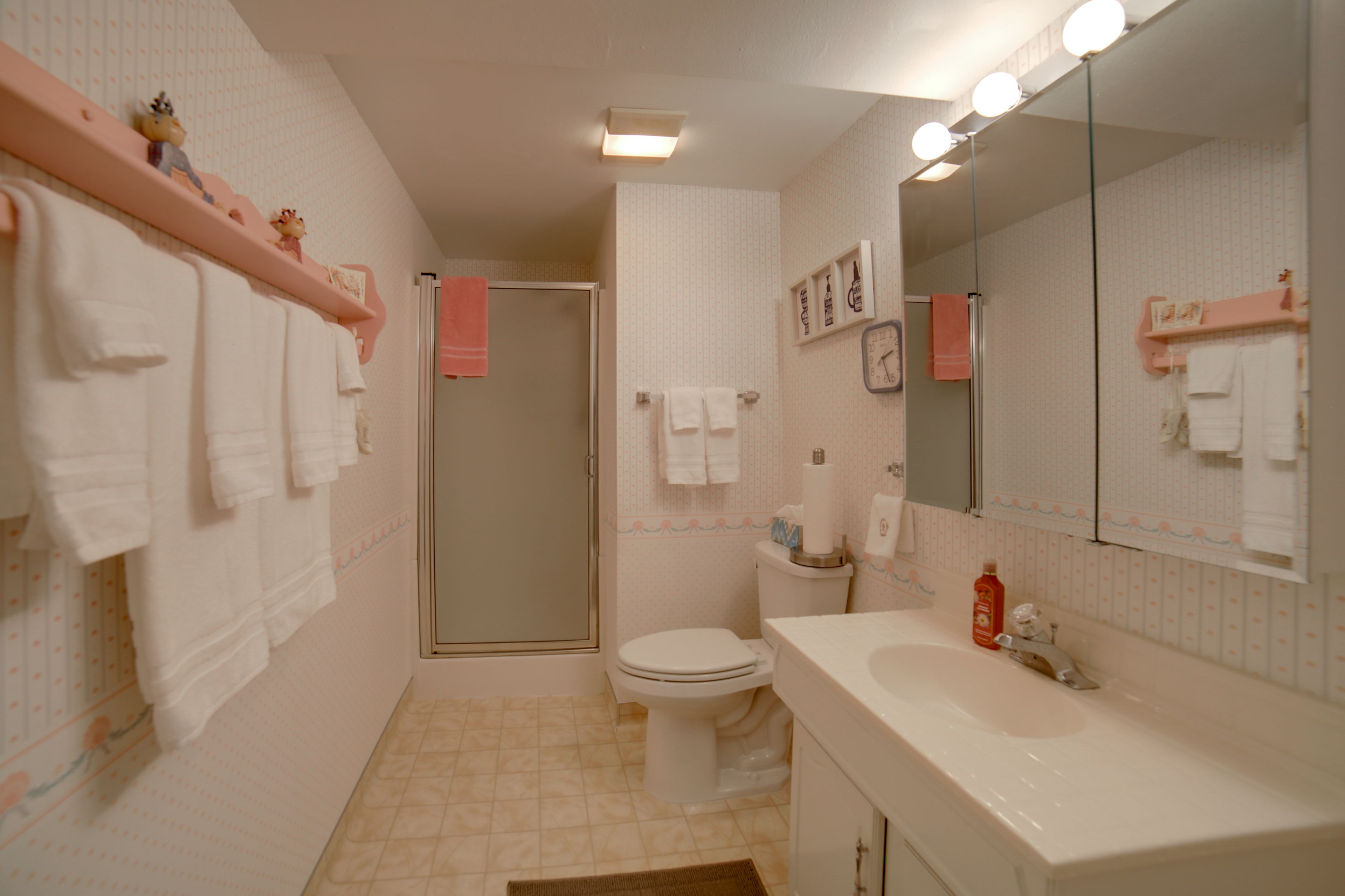Full Bathroom | Basement | Walk-In Shower