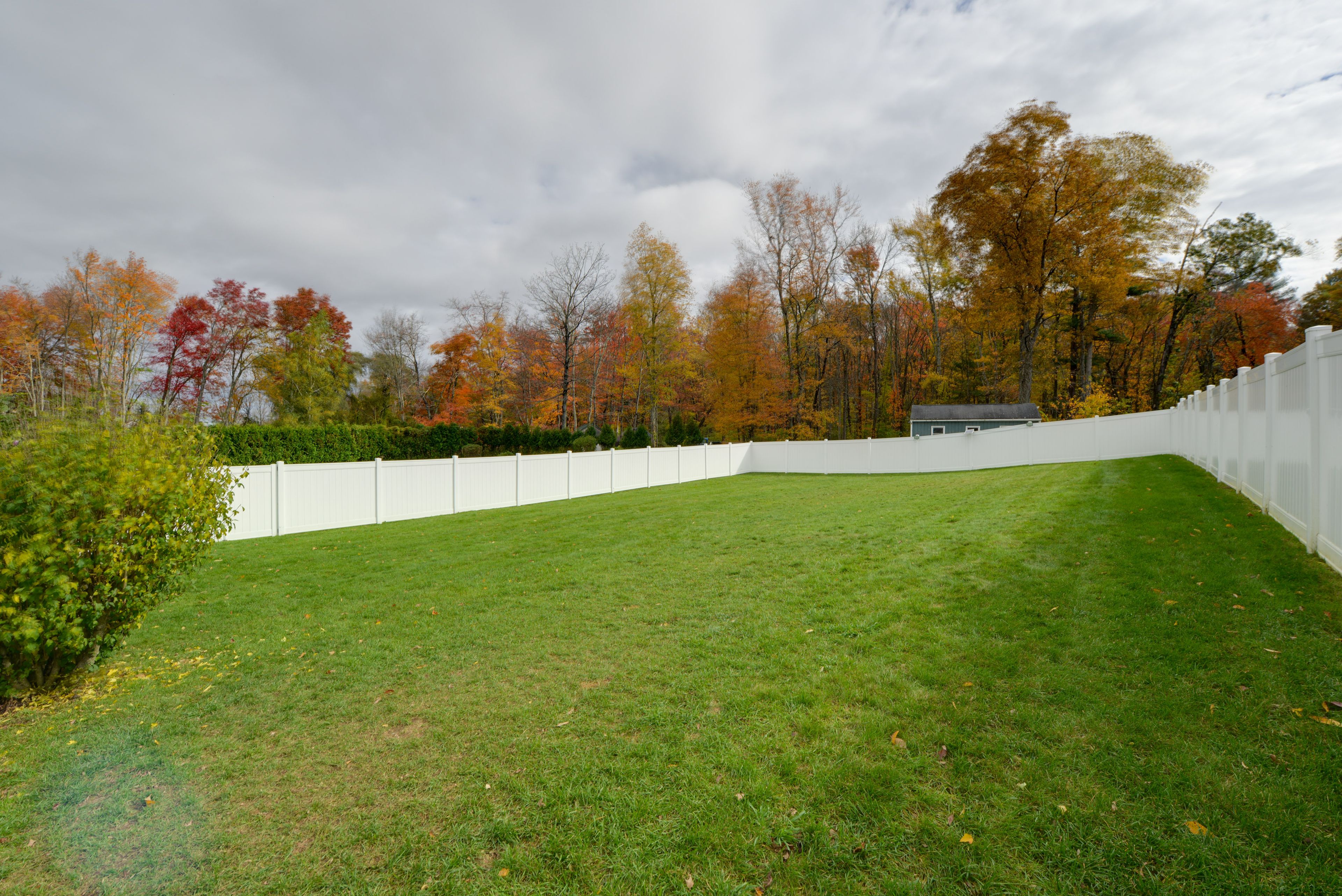 Fenced Backyard