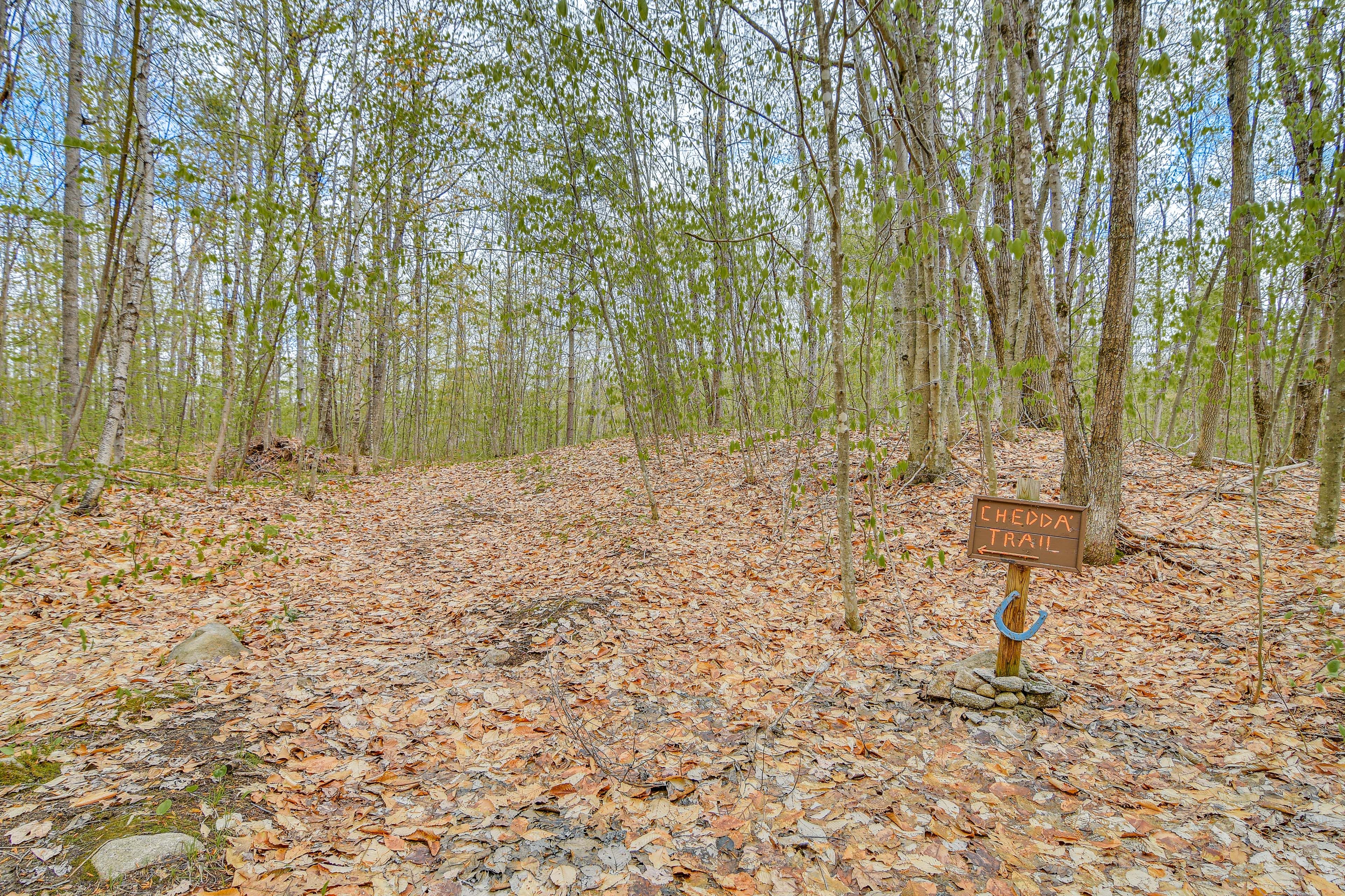 Cabin Exterior | Hiking Trail Access On-Site