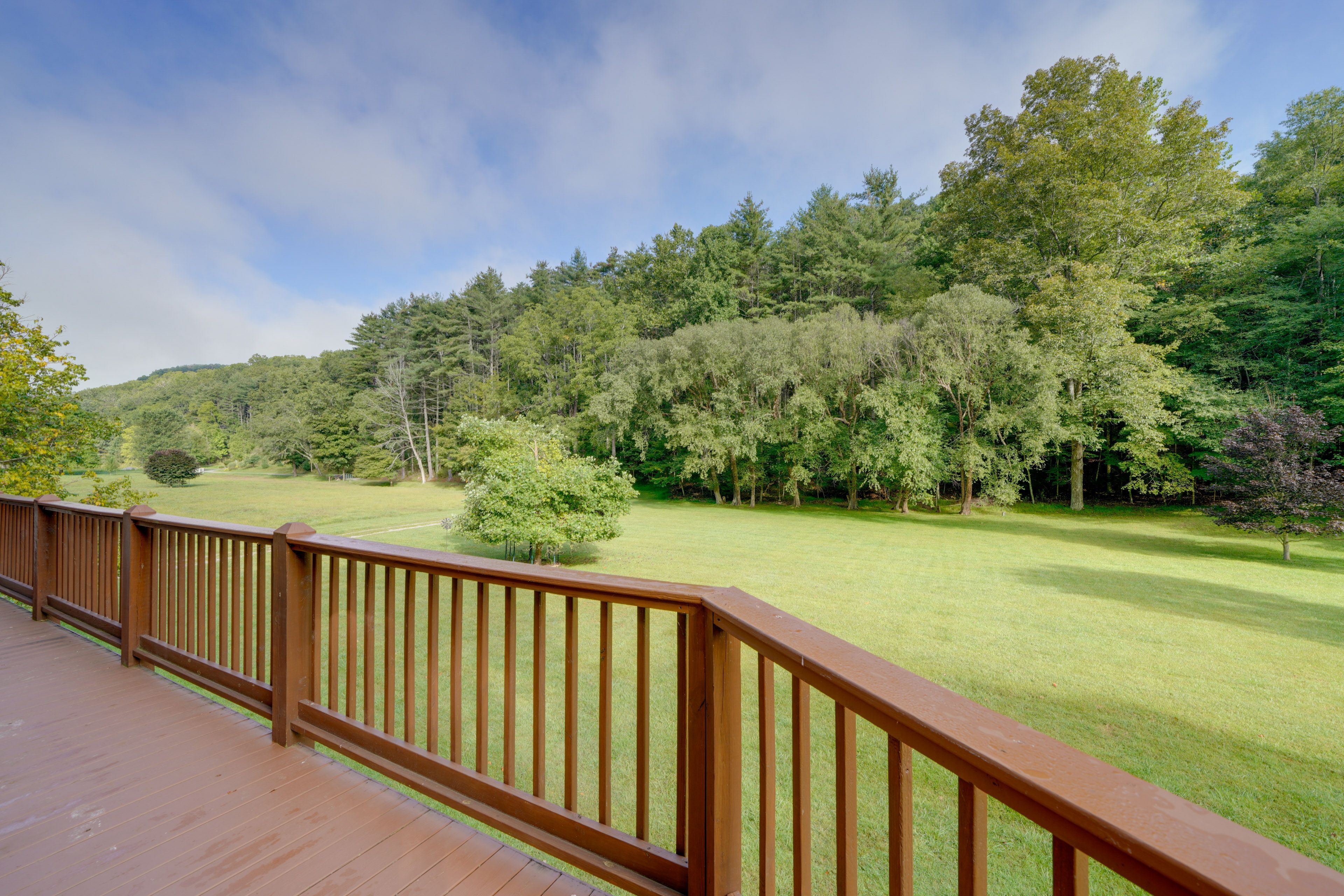 Forest Views