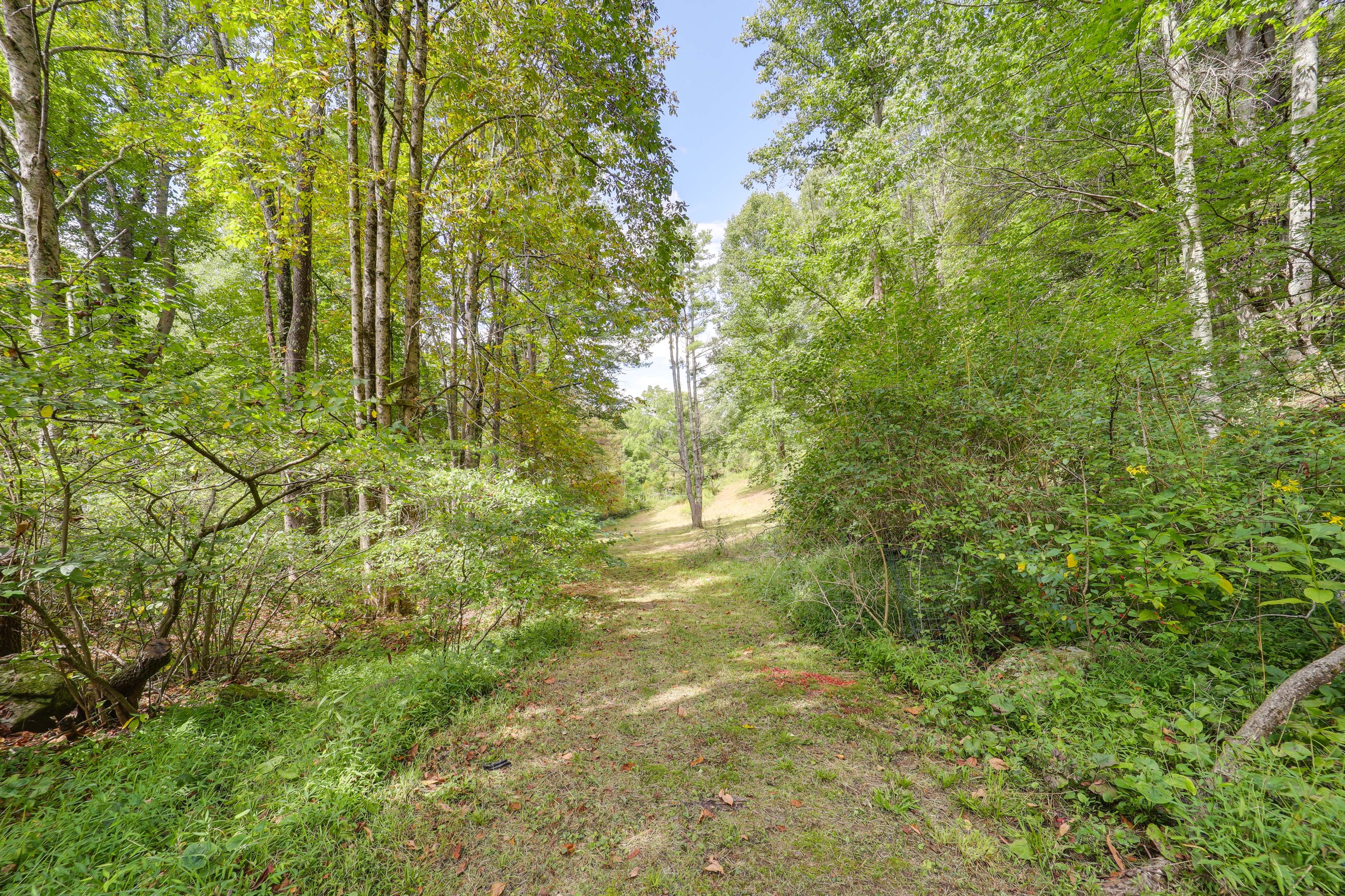 Private 60-Acre Property
