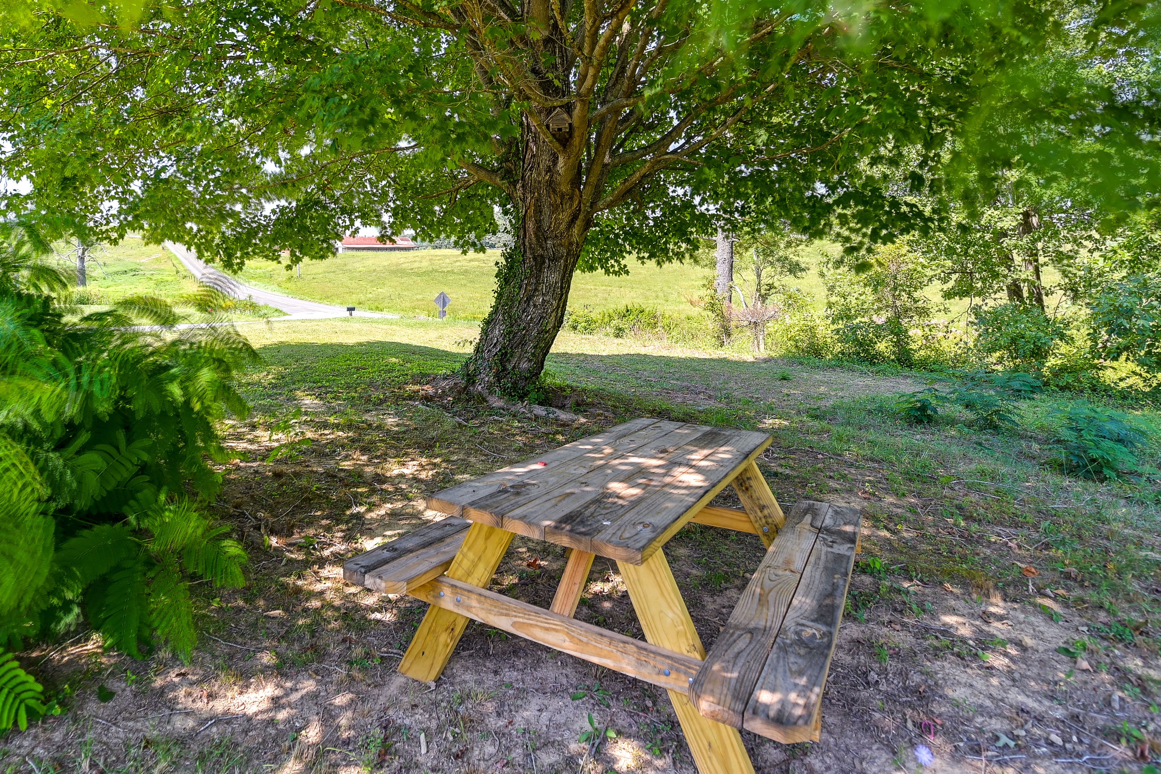 Picnic Area