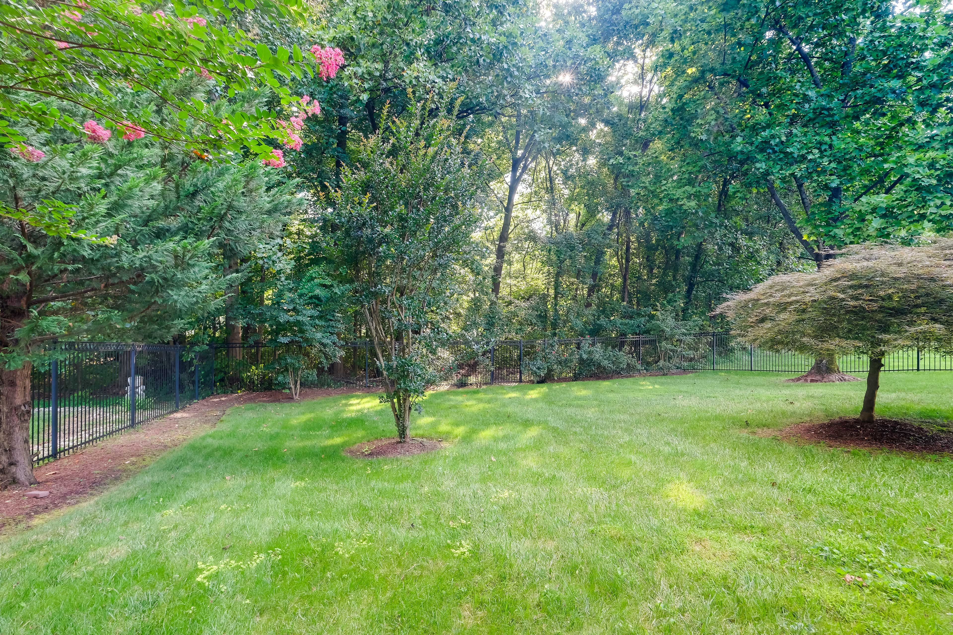 Fenced Yard