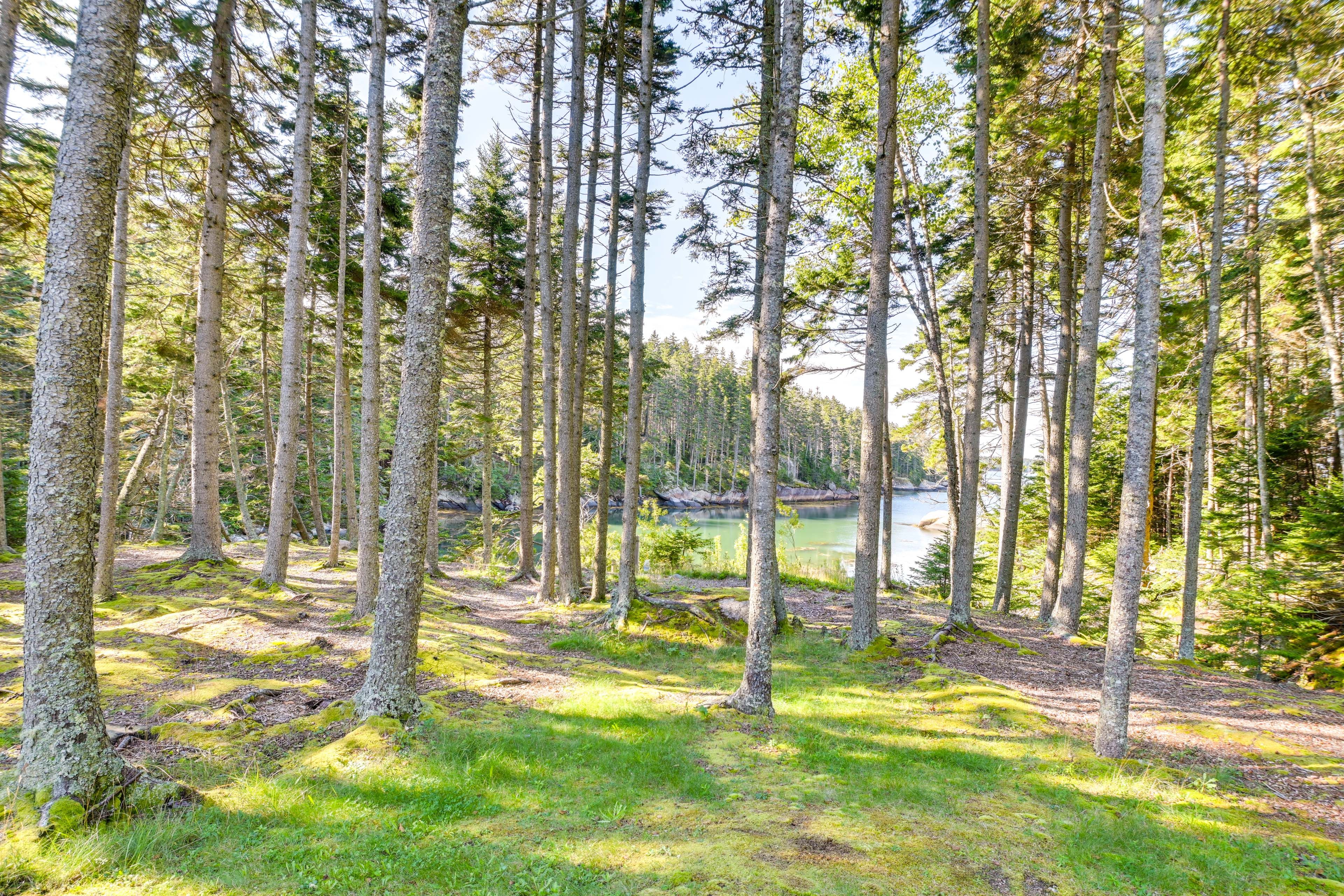 Property Views