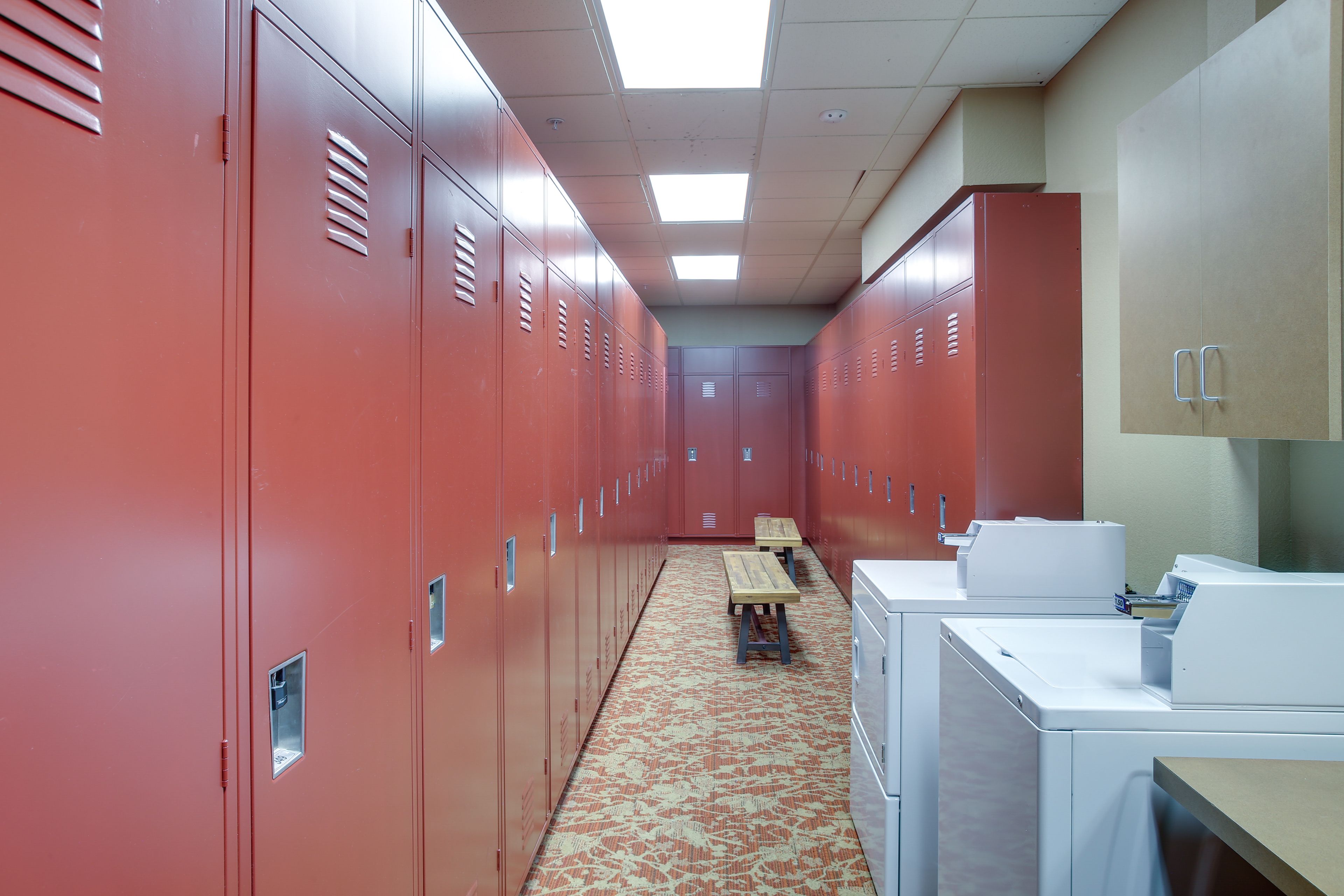 Image 21