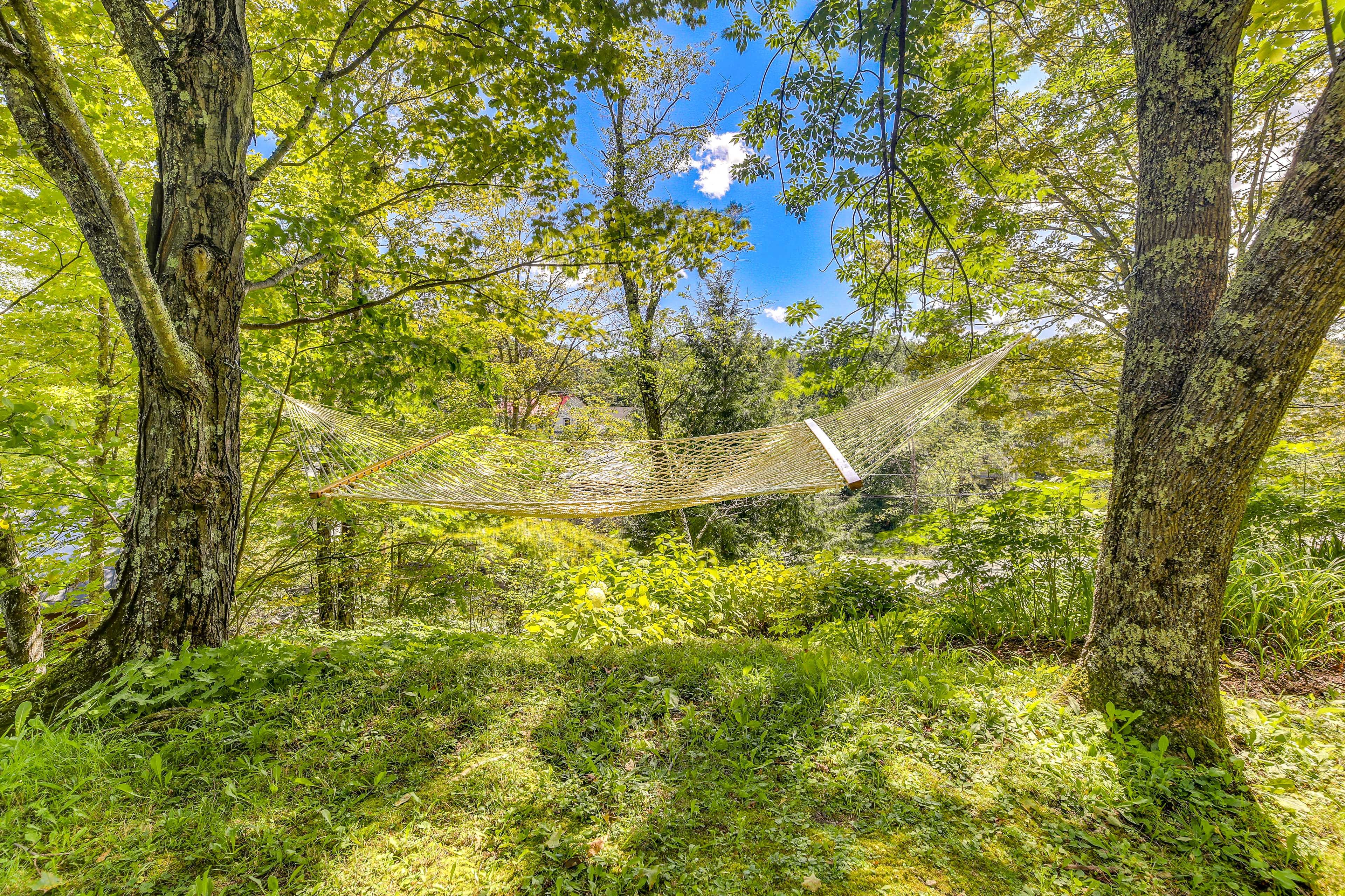 Backyard | Hammock | Outdoor Seating