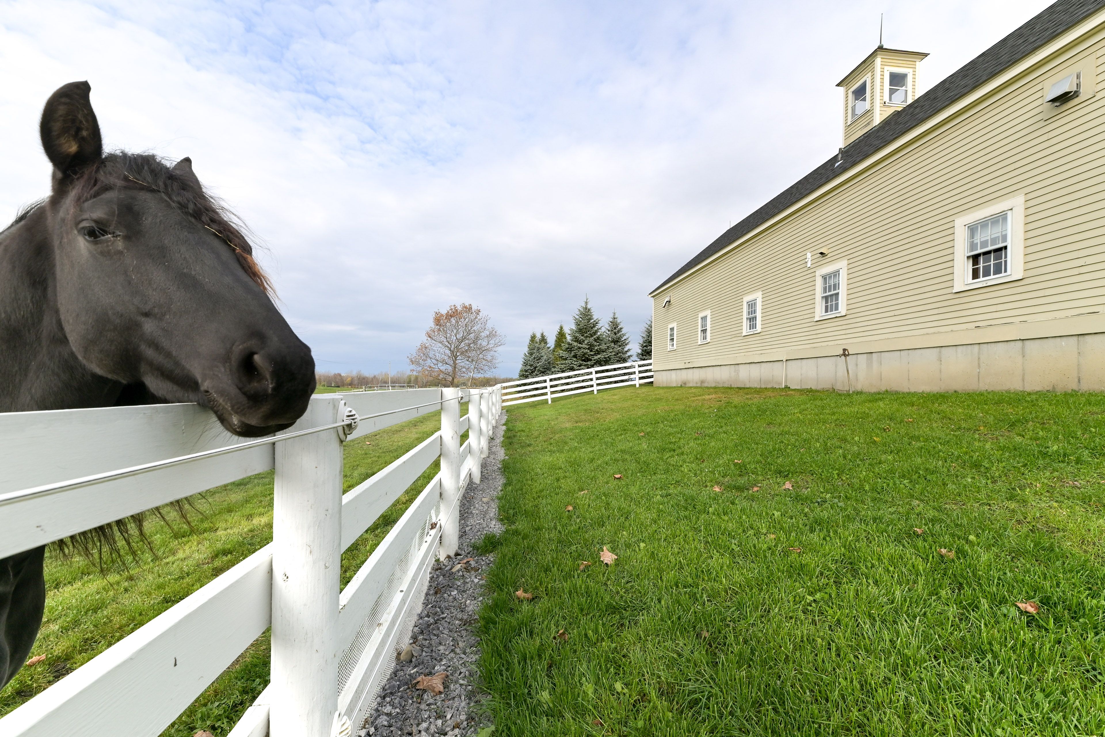 On-Site Horse Farm