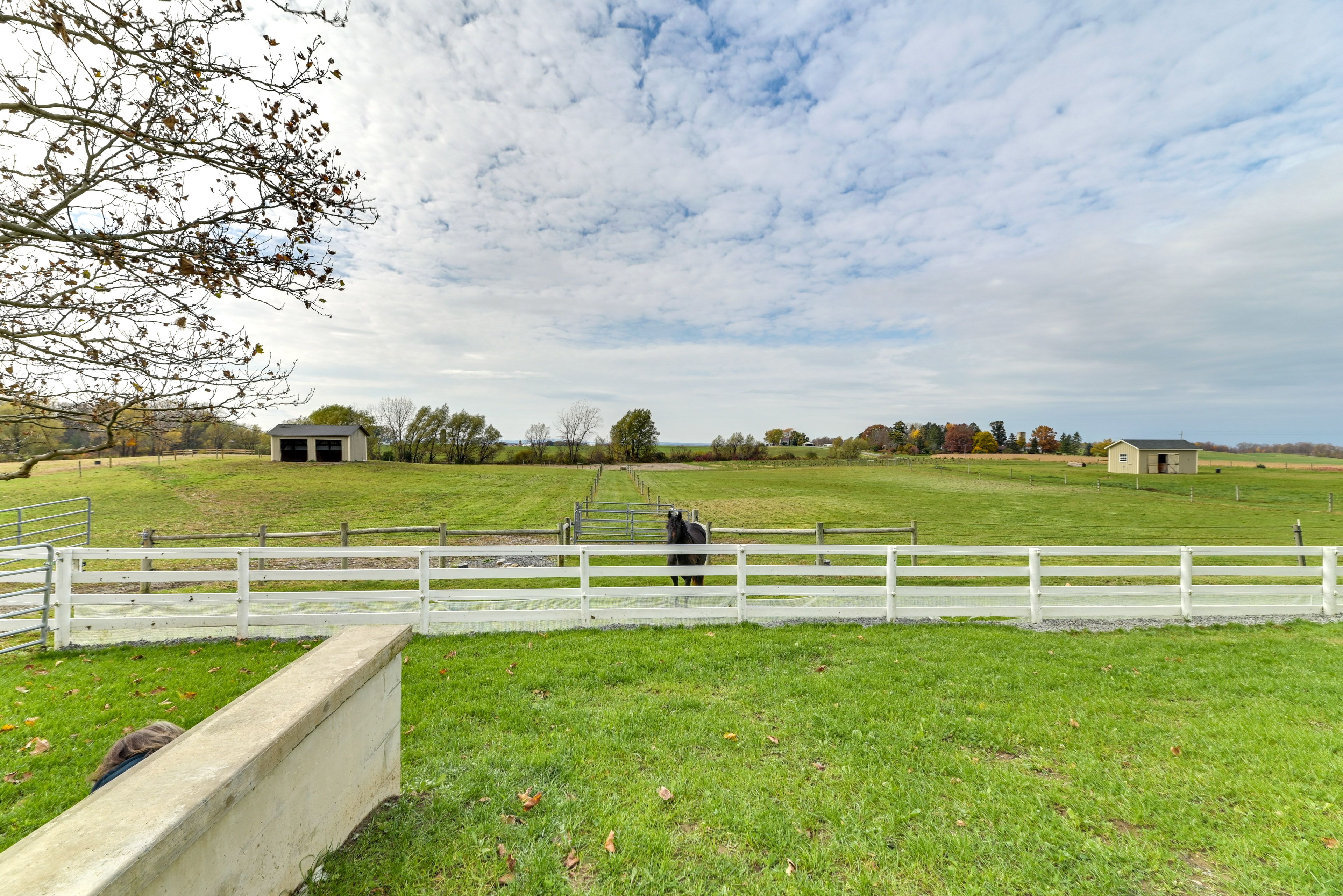 On-Site Horse Farm | Views