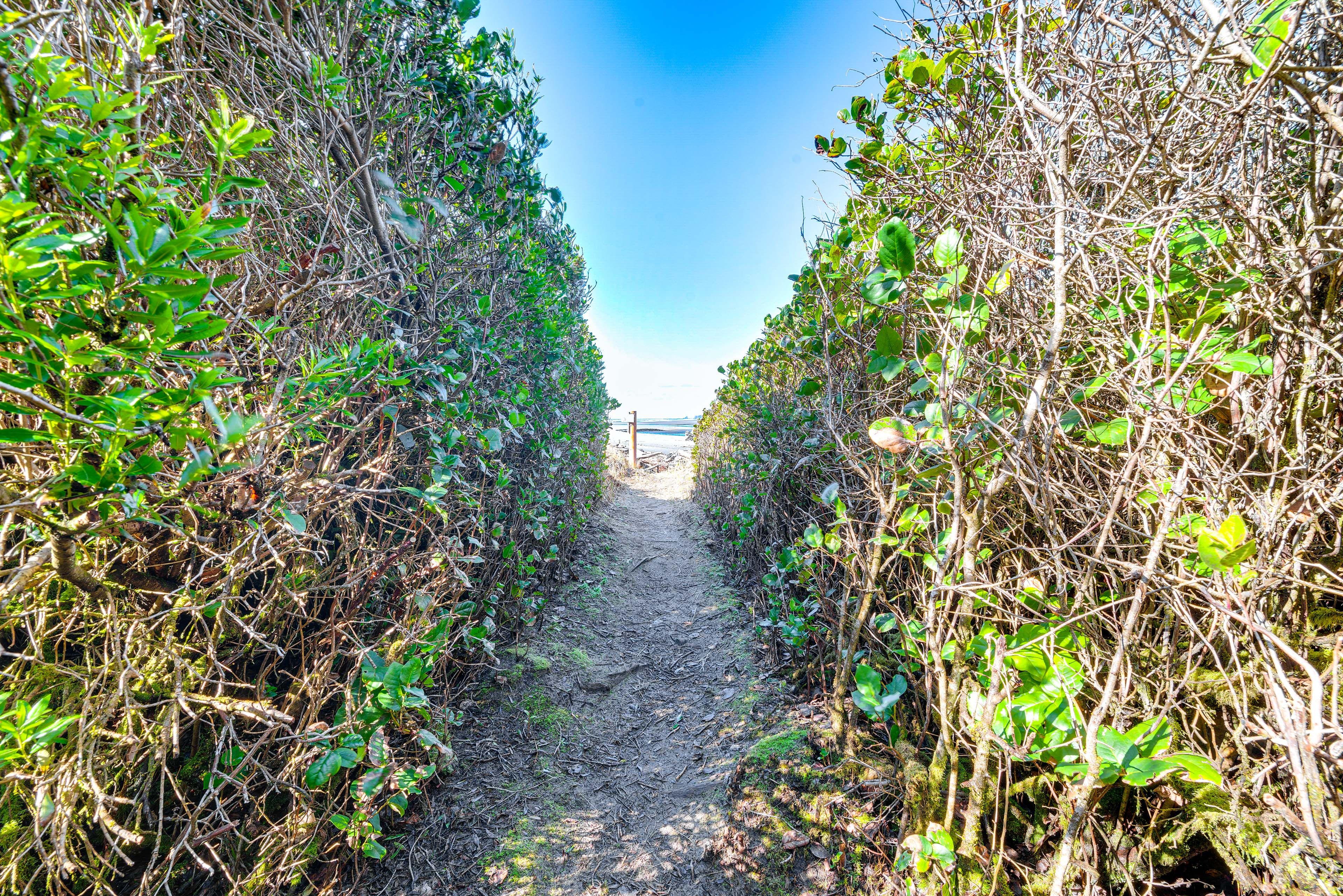 Walk to Beach