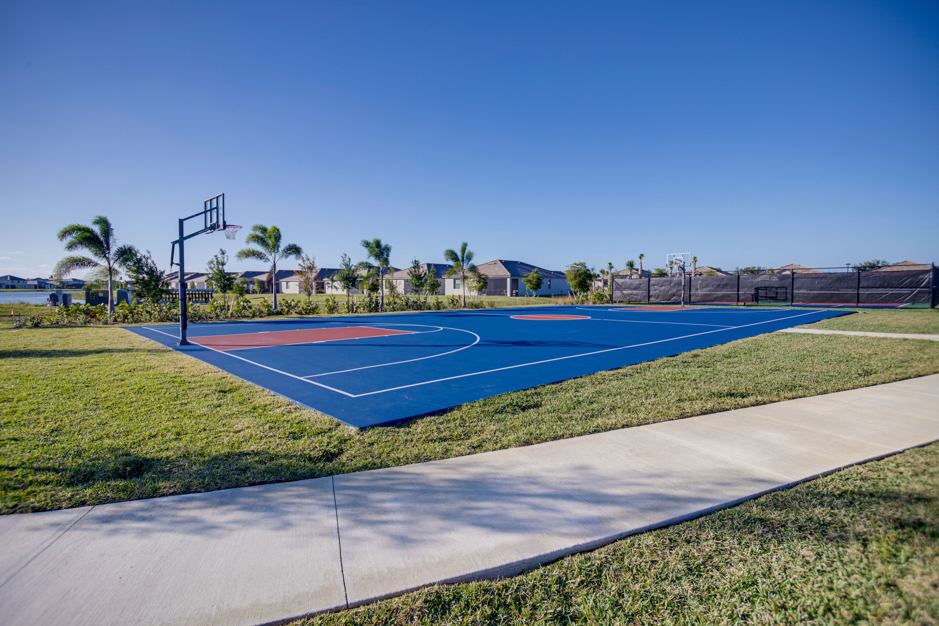 Basketball Court