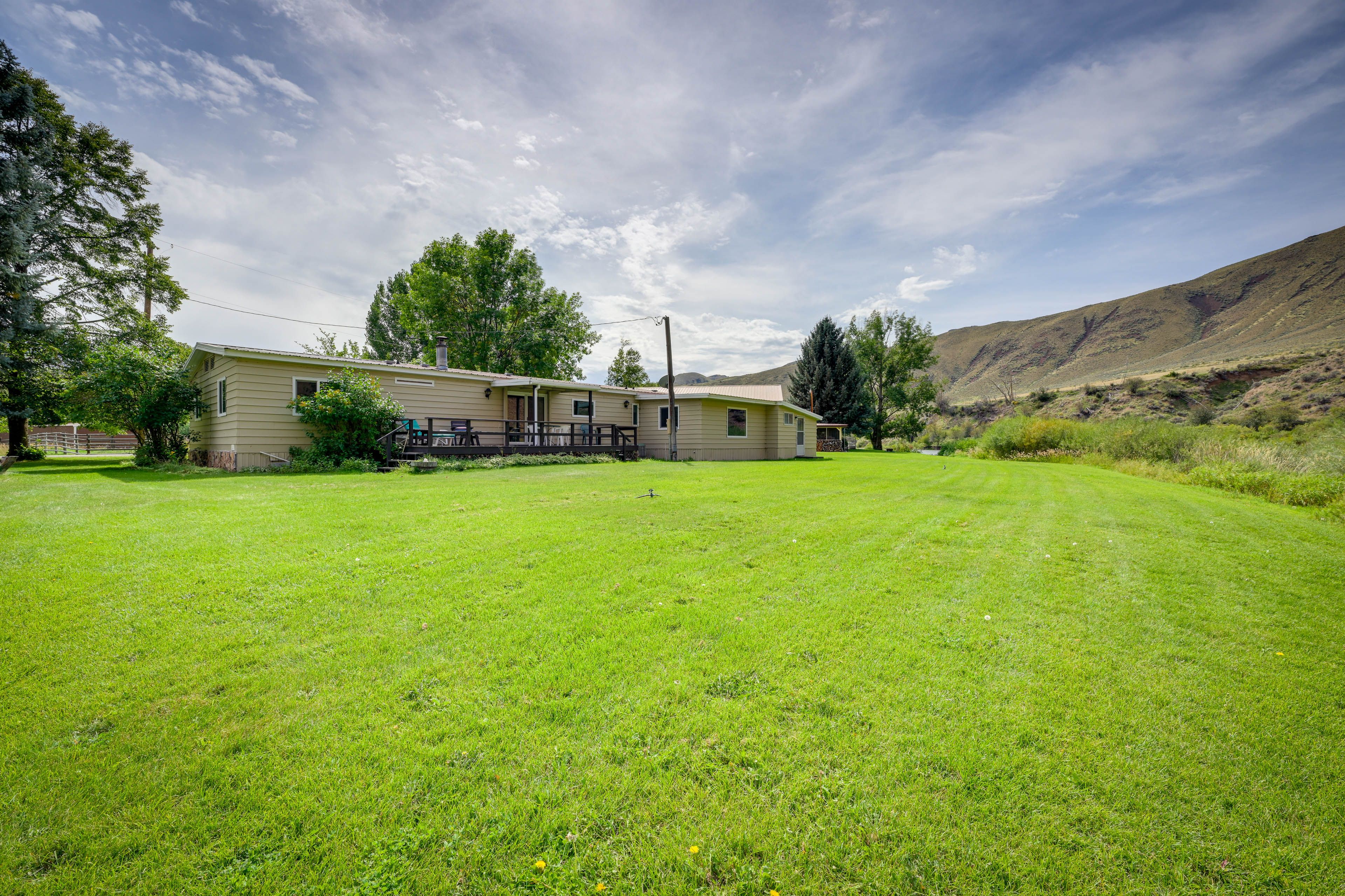 Yard Area