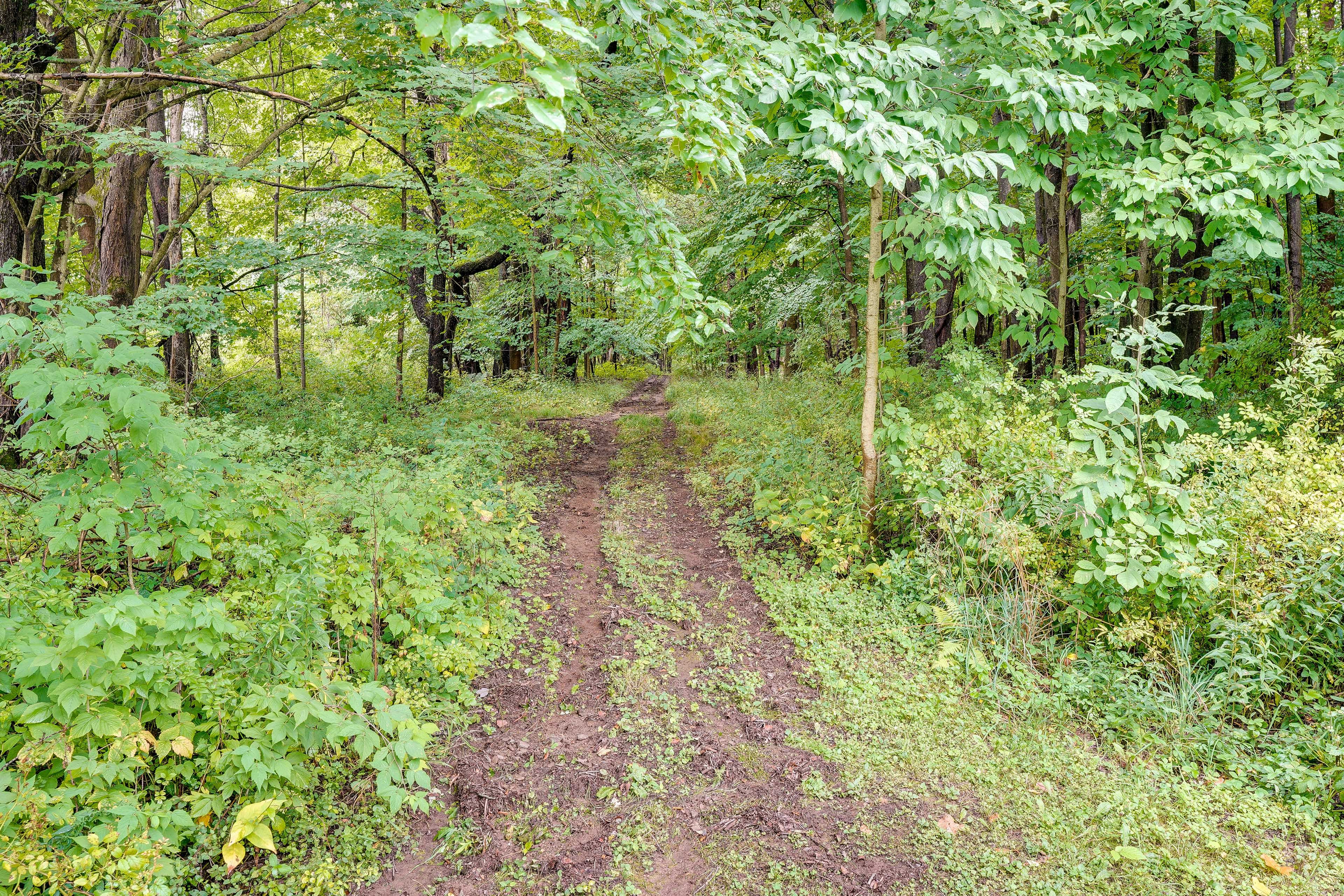 Shared Dirt Driveway (2 Vehicles, Short Walk to Cabin)