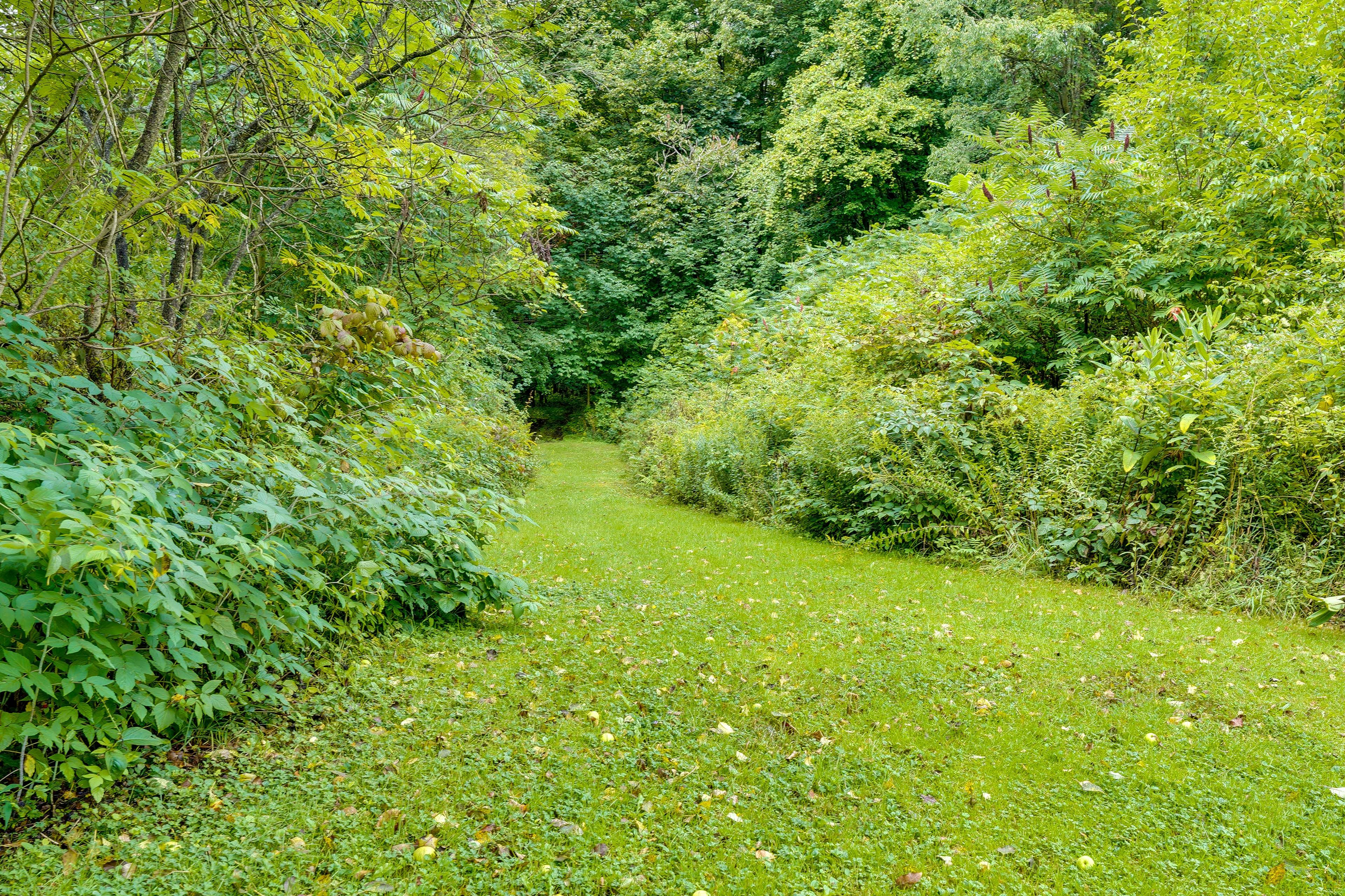 Surrounding Area