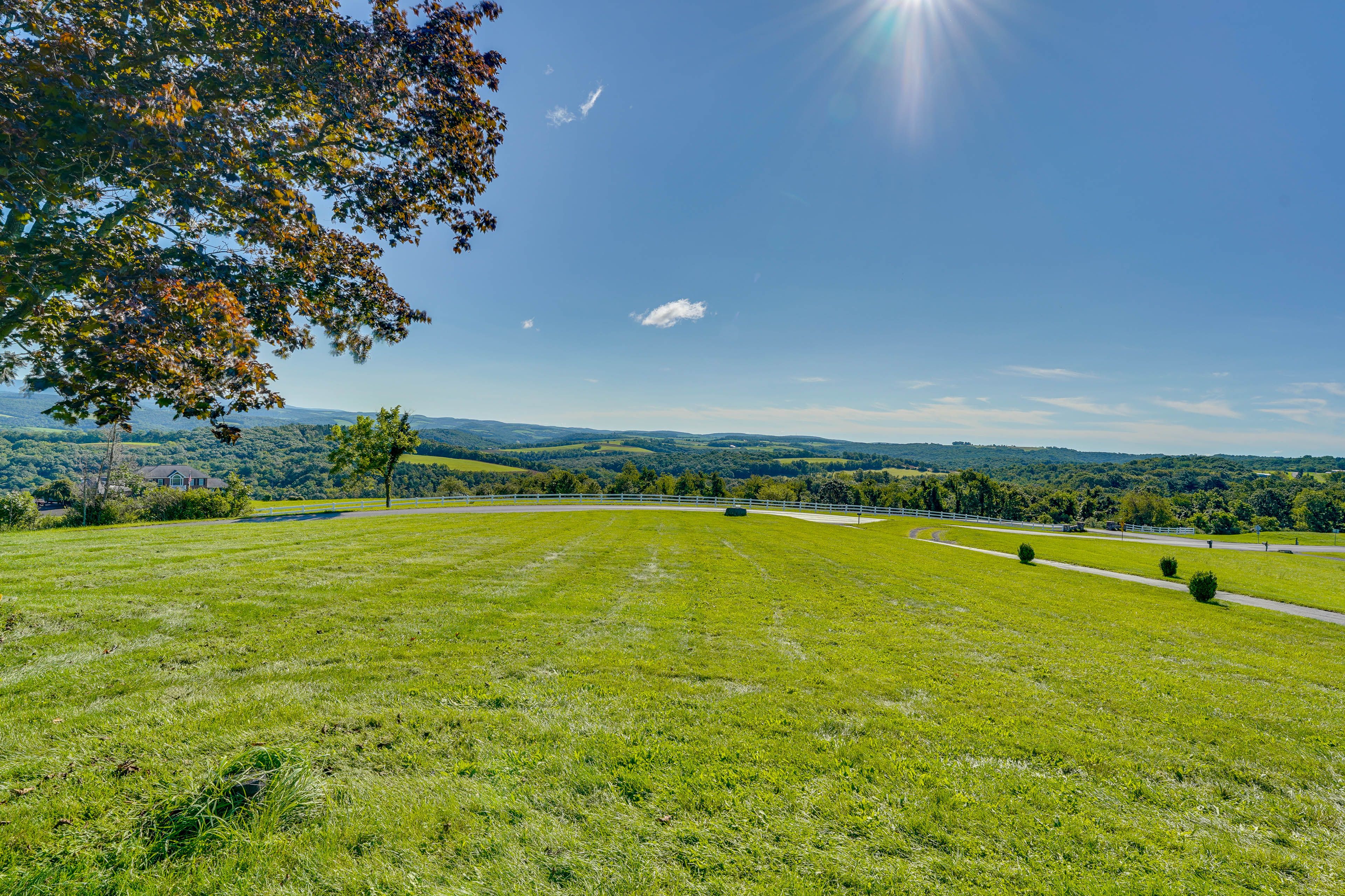 Property Views