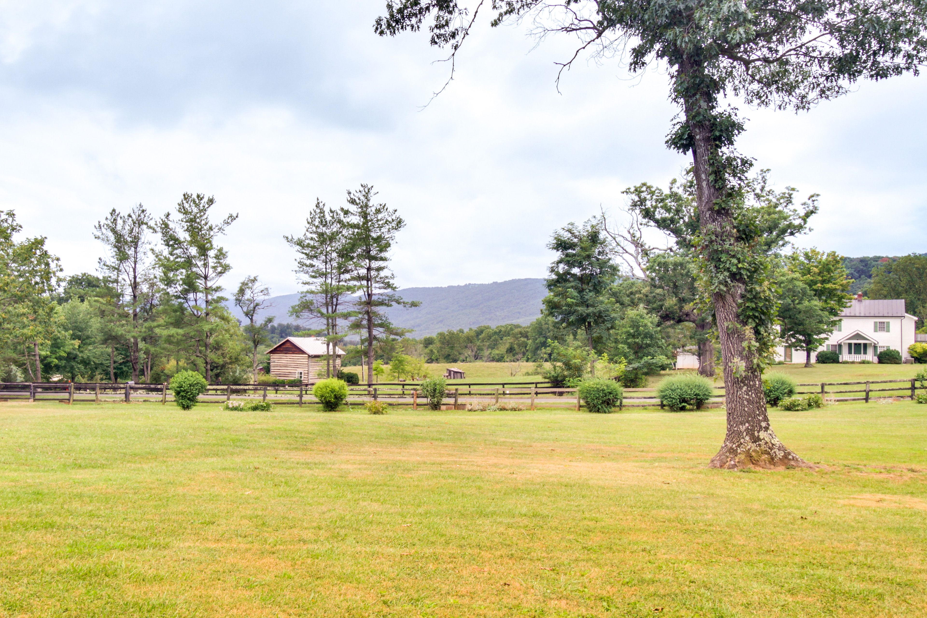 Pastoral Views