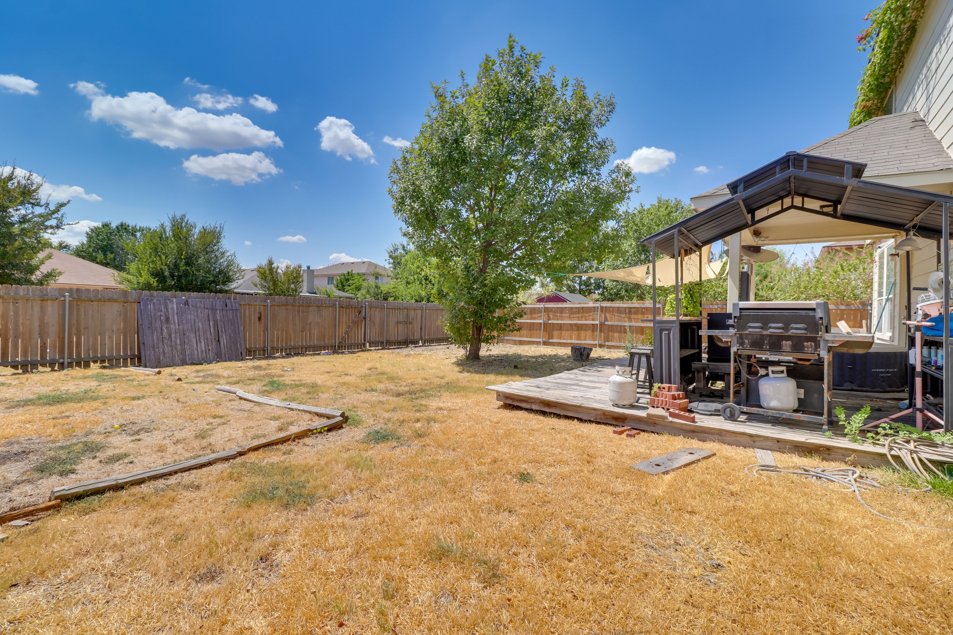 Backyard
