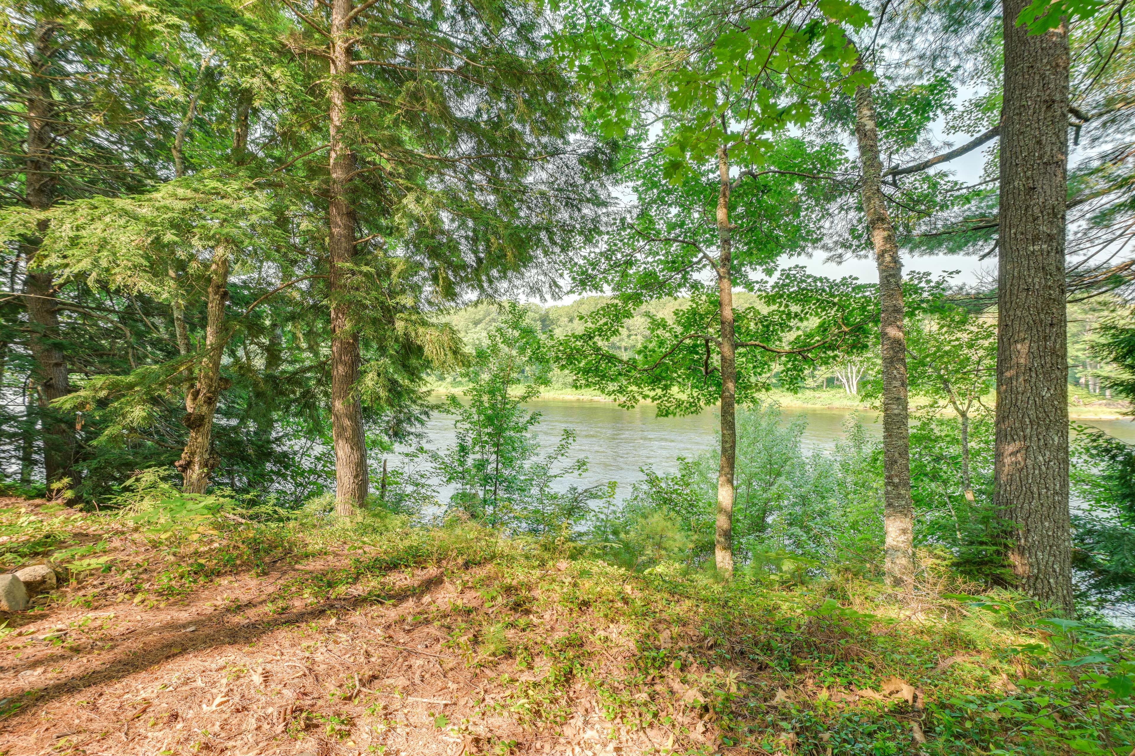 Image 26