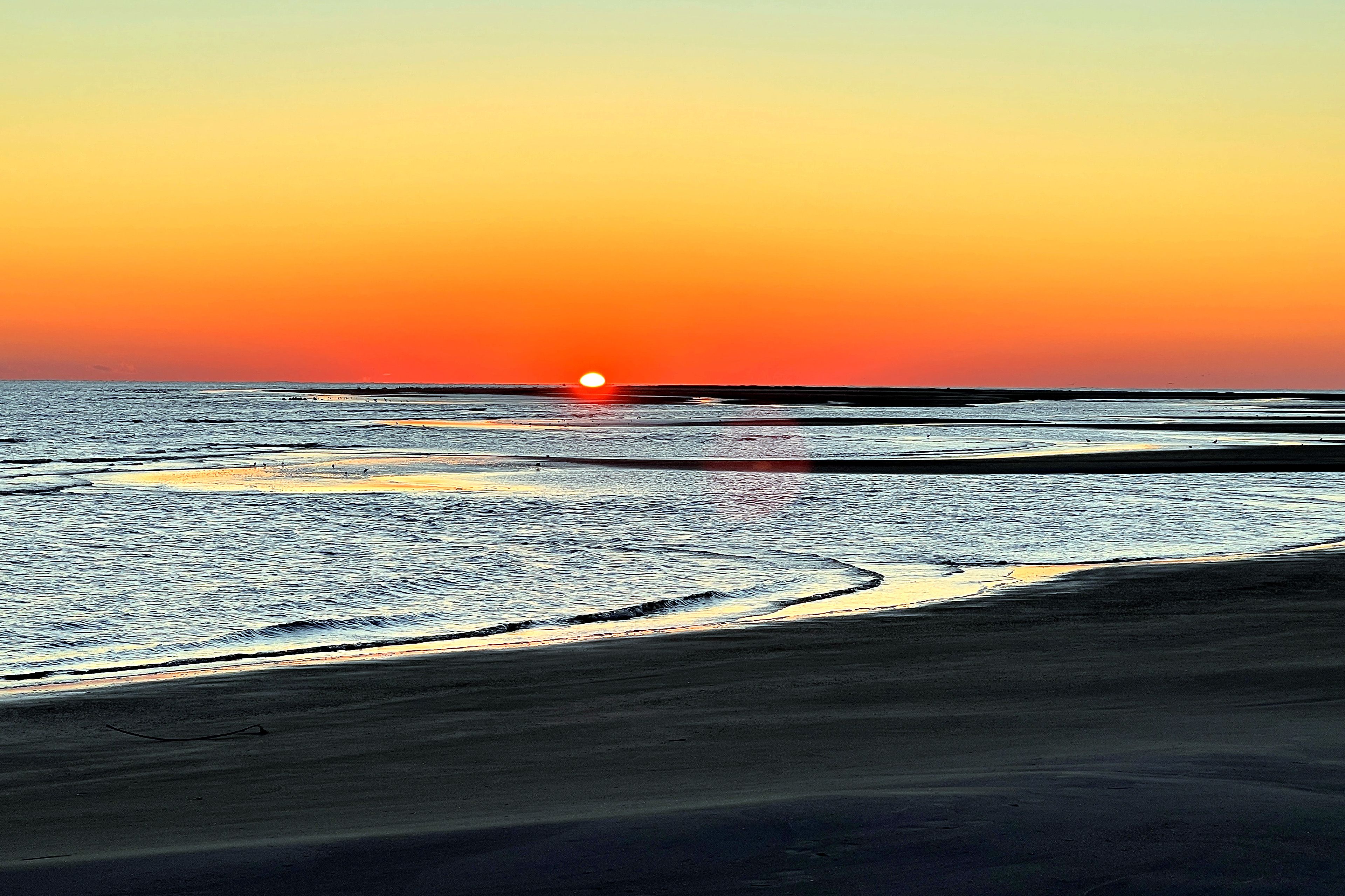 Image 31