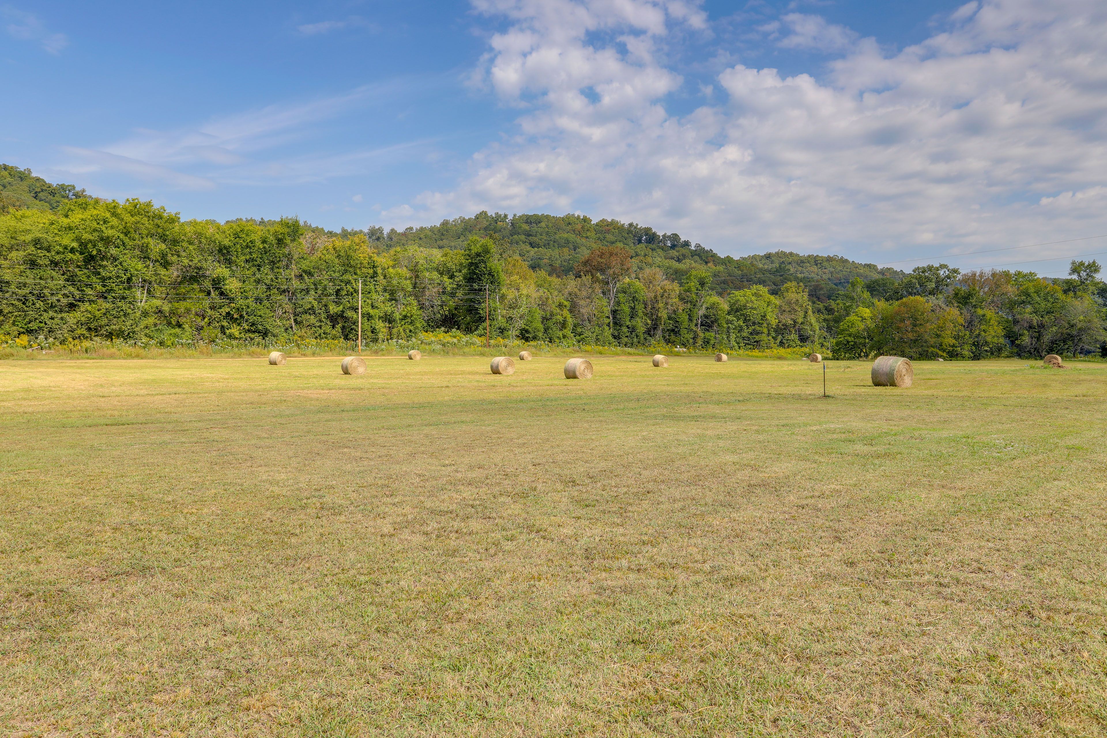 Pastoral Views