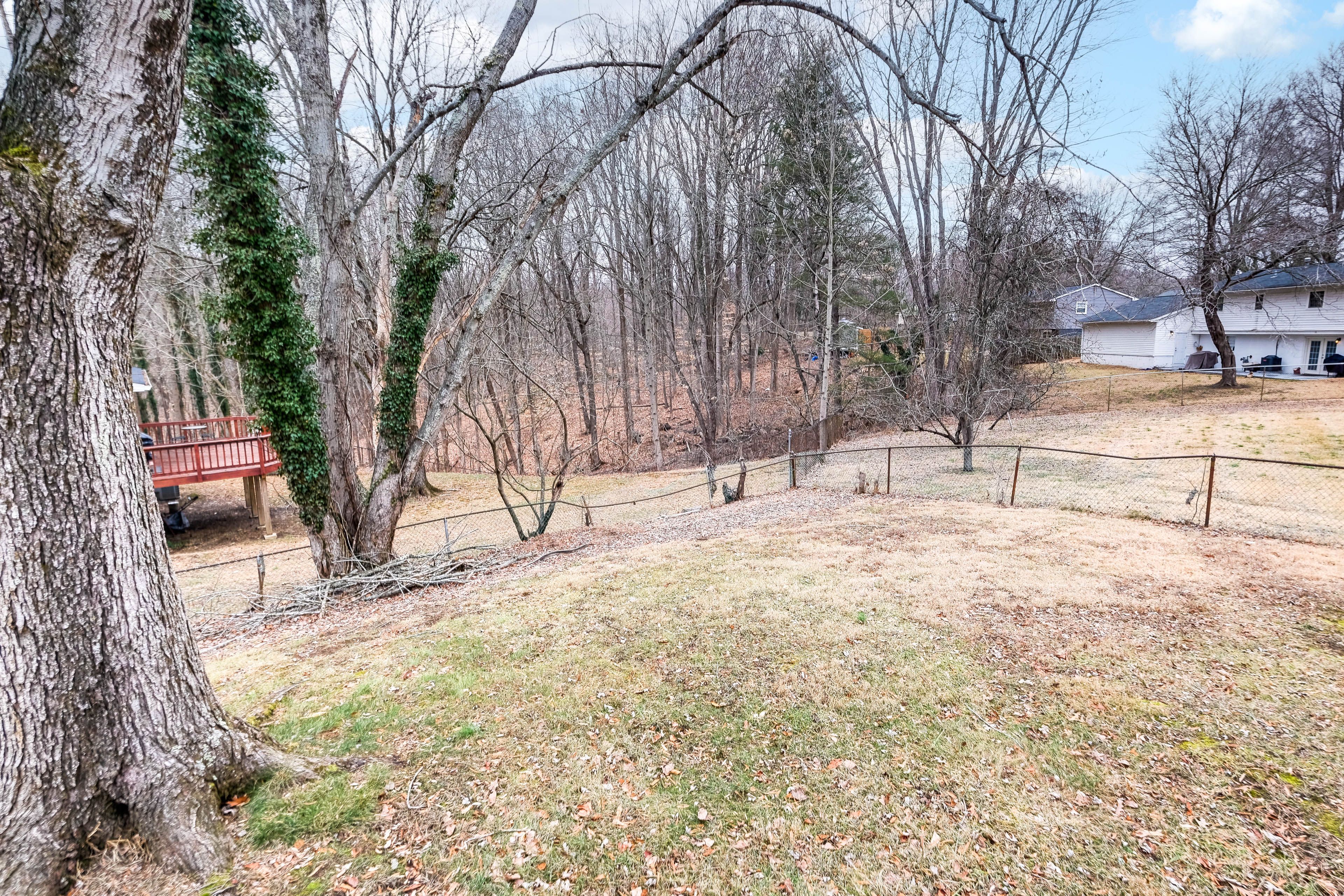 Large Yard