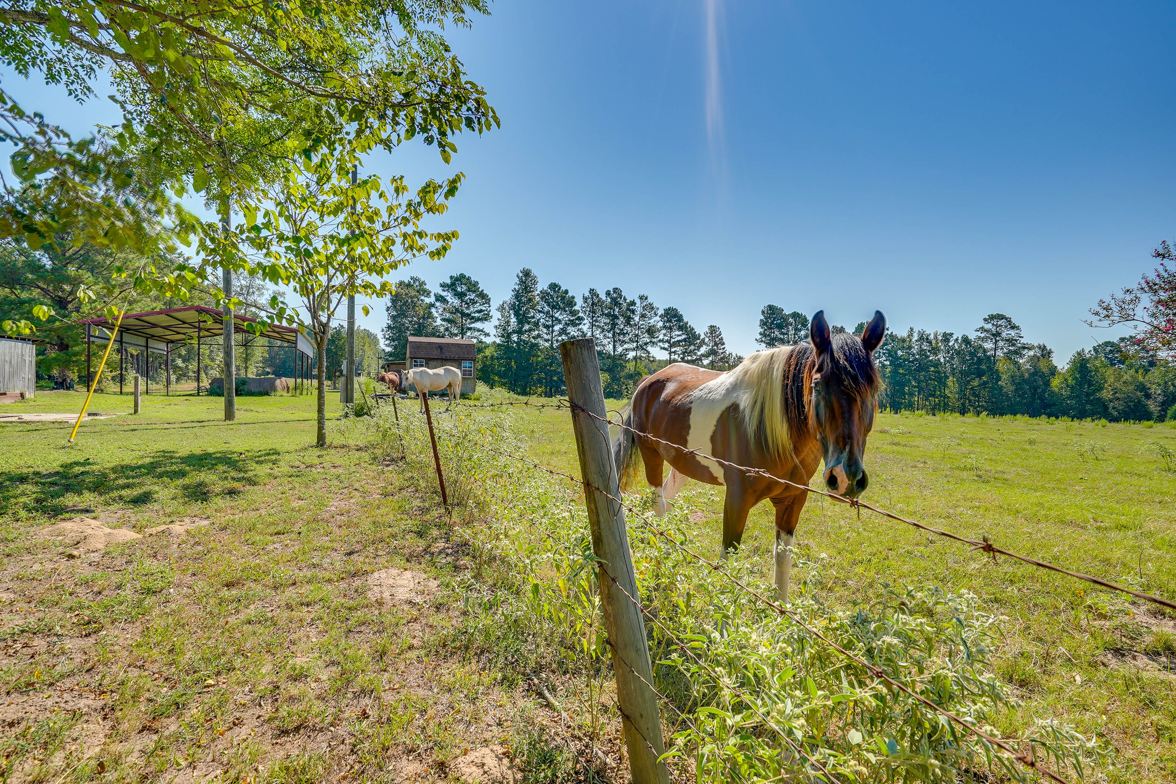 House Exterior | Horse & Cattle Facilities On-Site