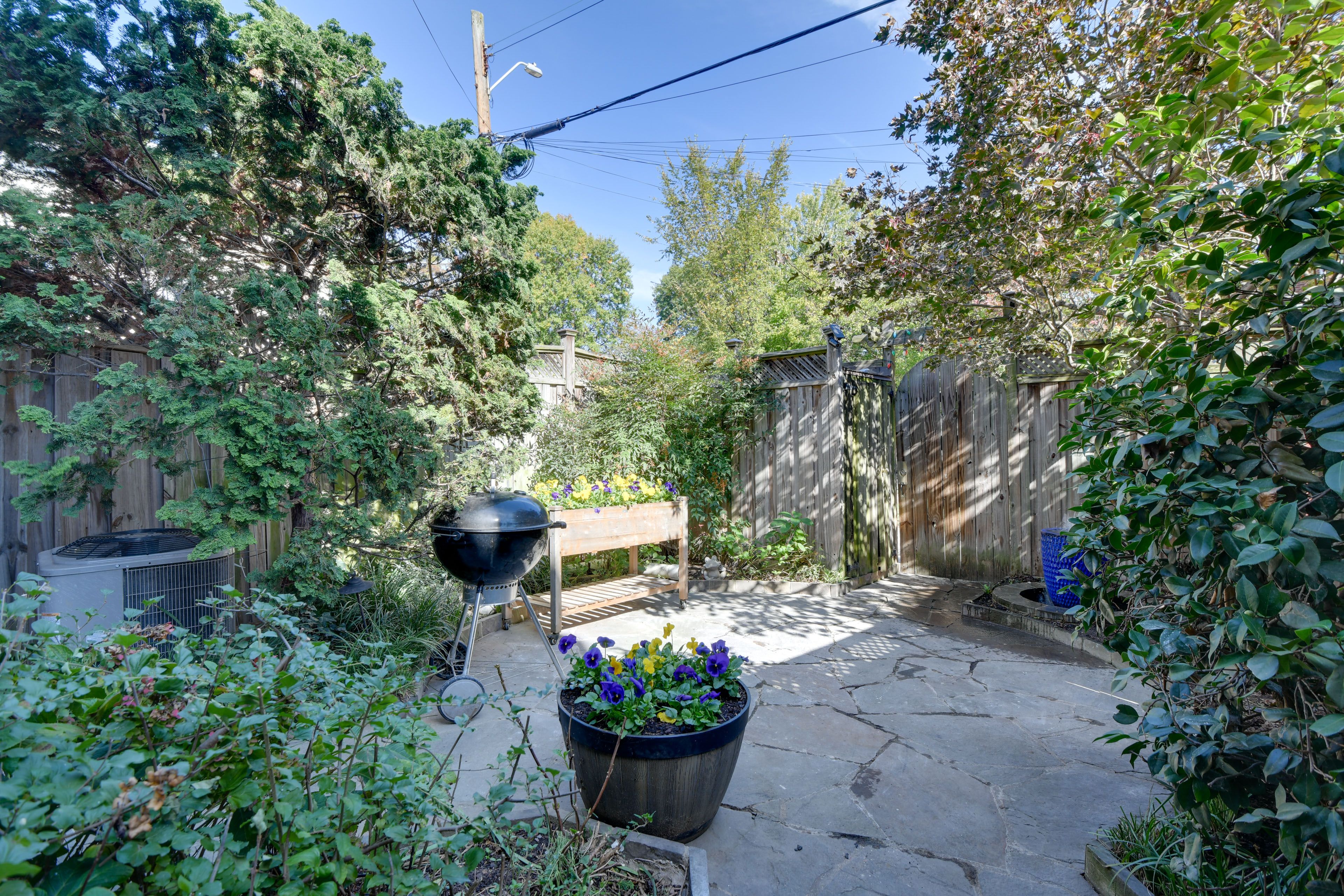 Shared Yard