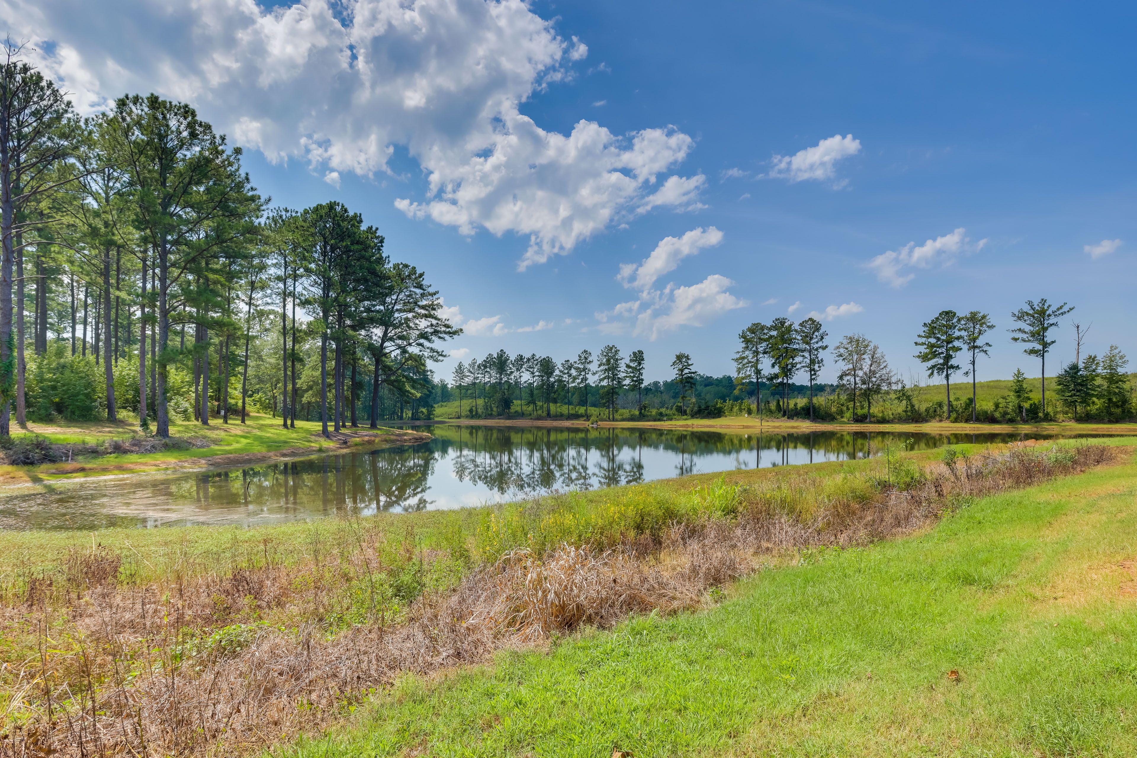 Pond On-Site