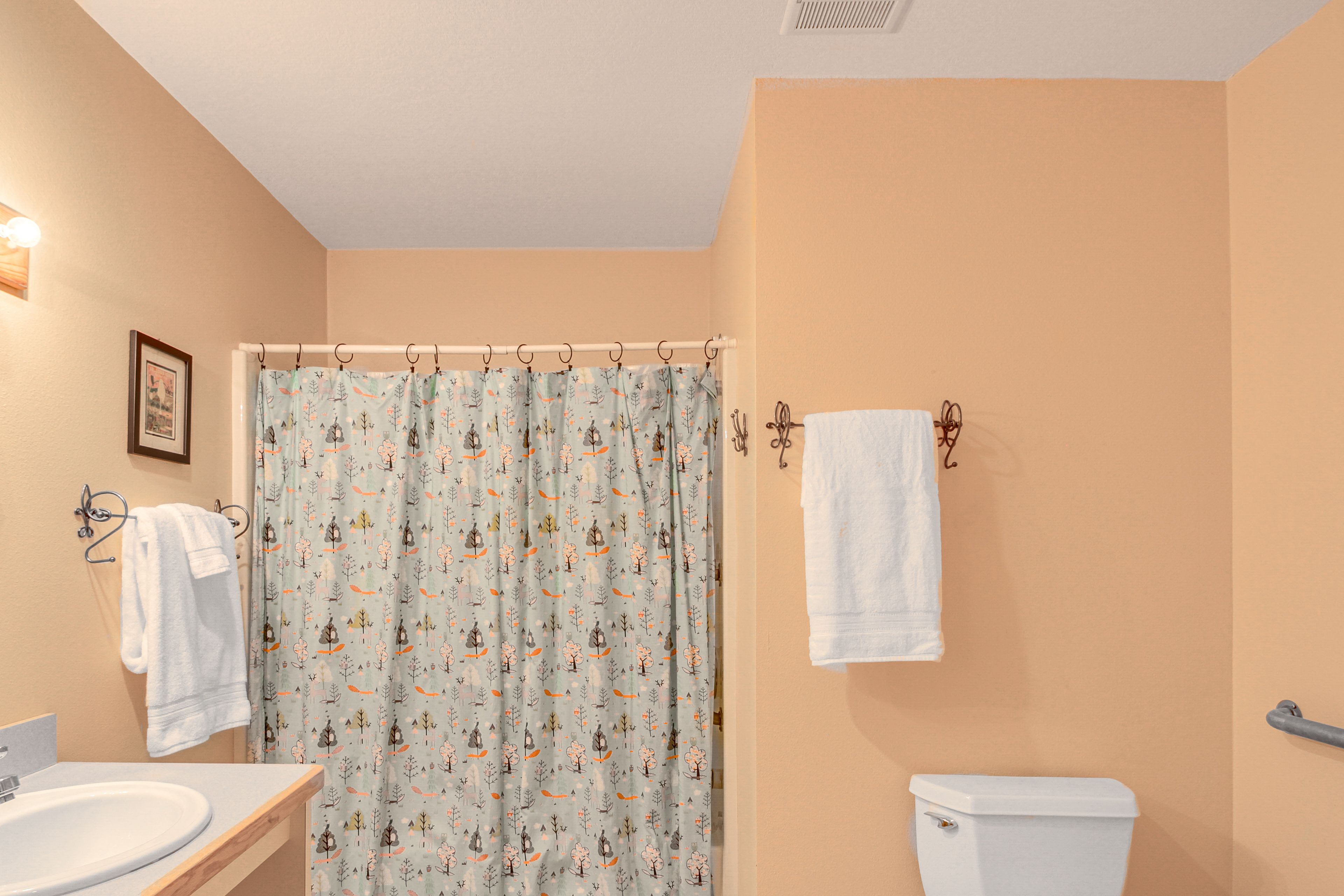 Full Bathroom | Grab Rails | 1st Floor