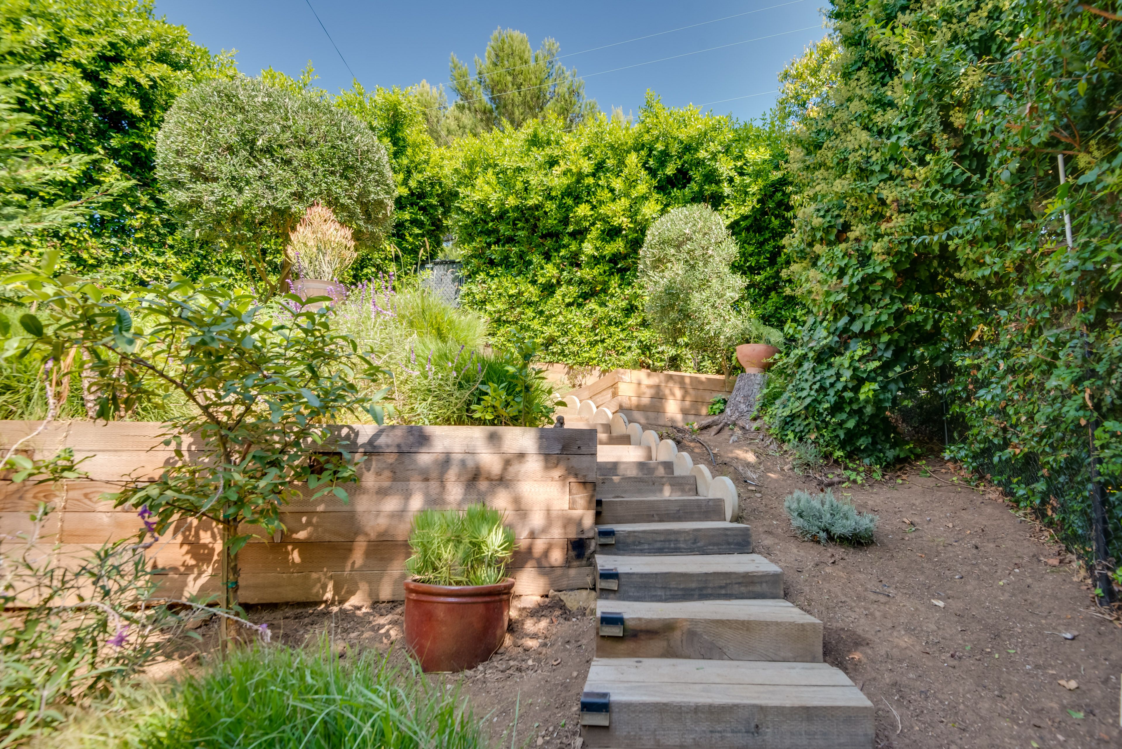Veggie Garden