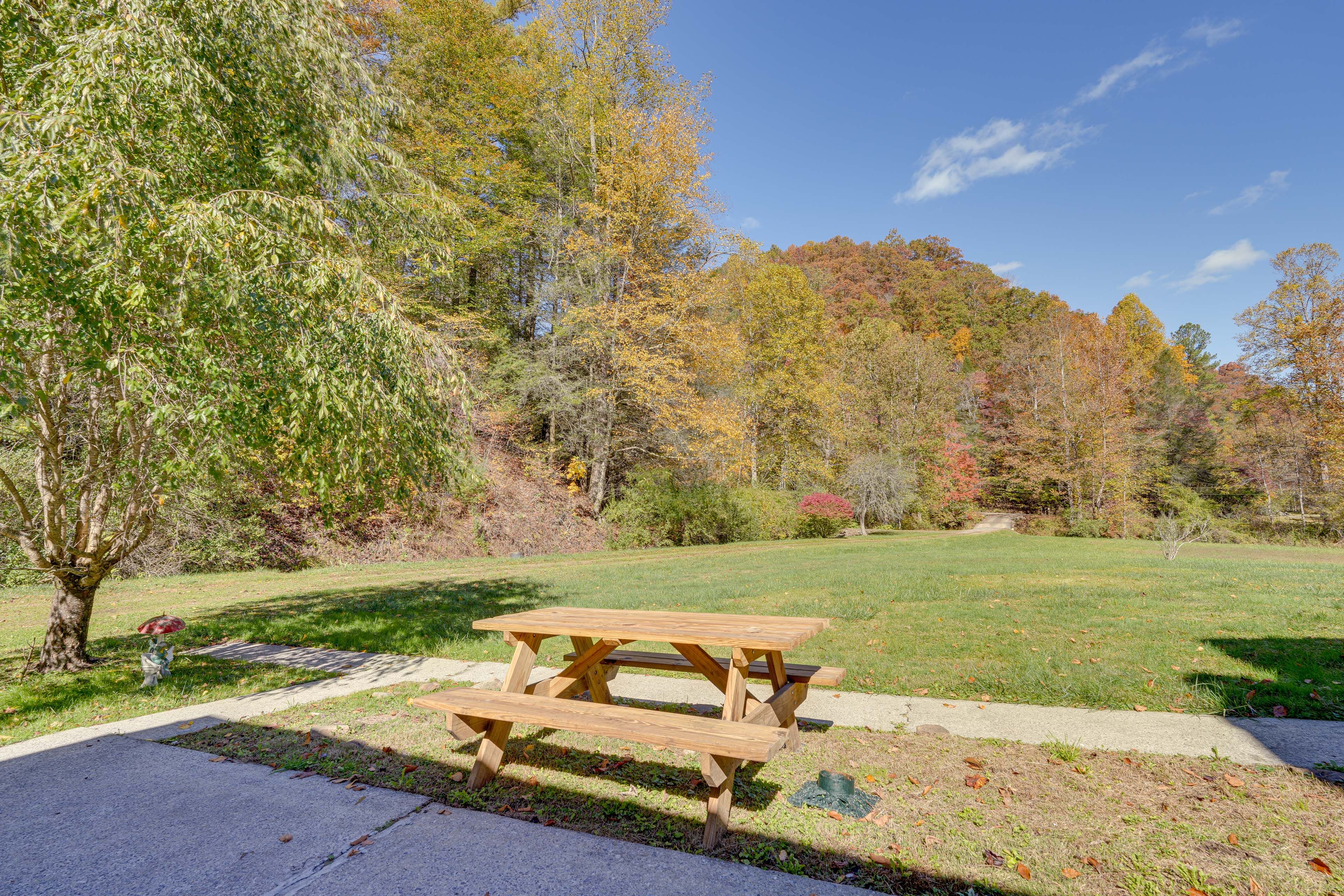 Front Yard