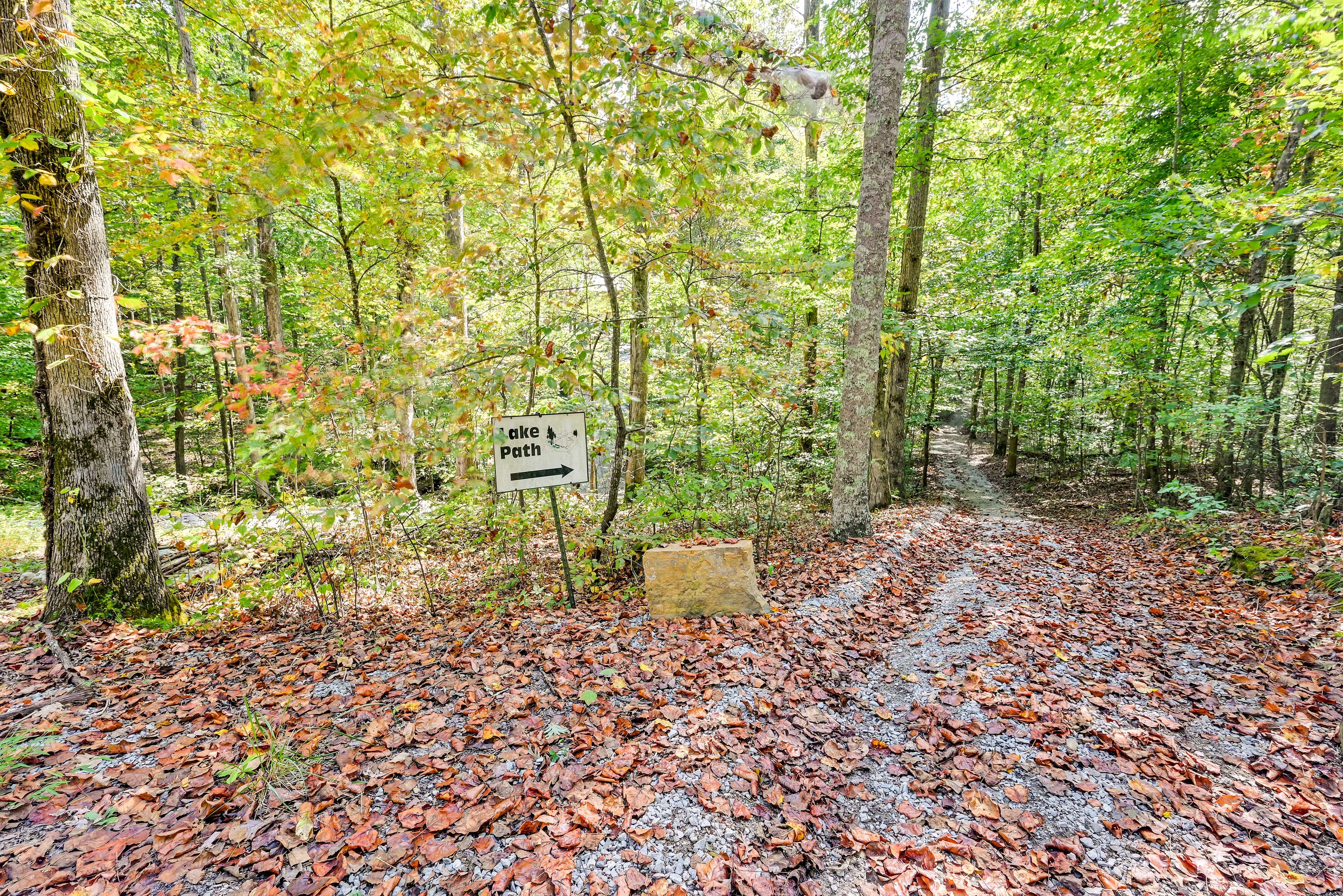 Path to Nolin Lake