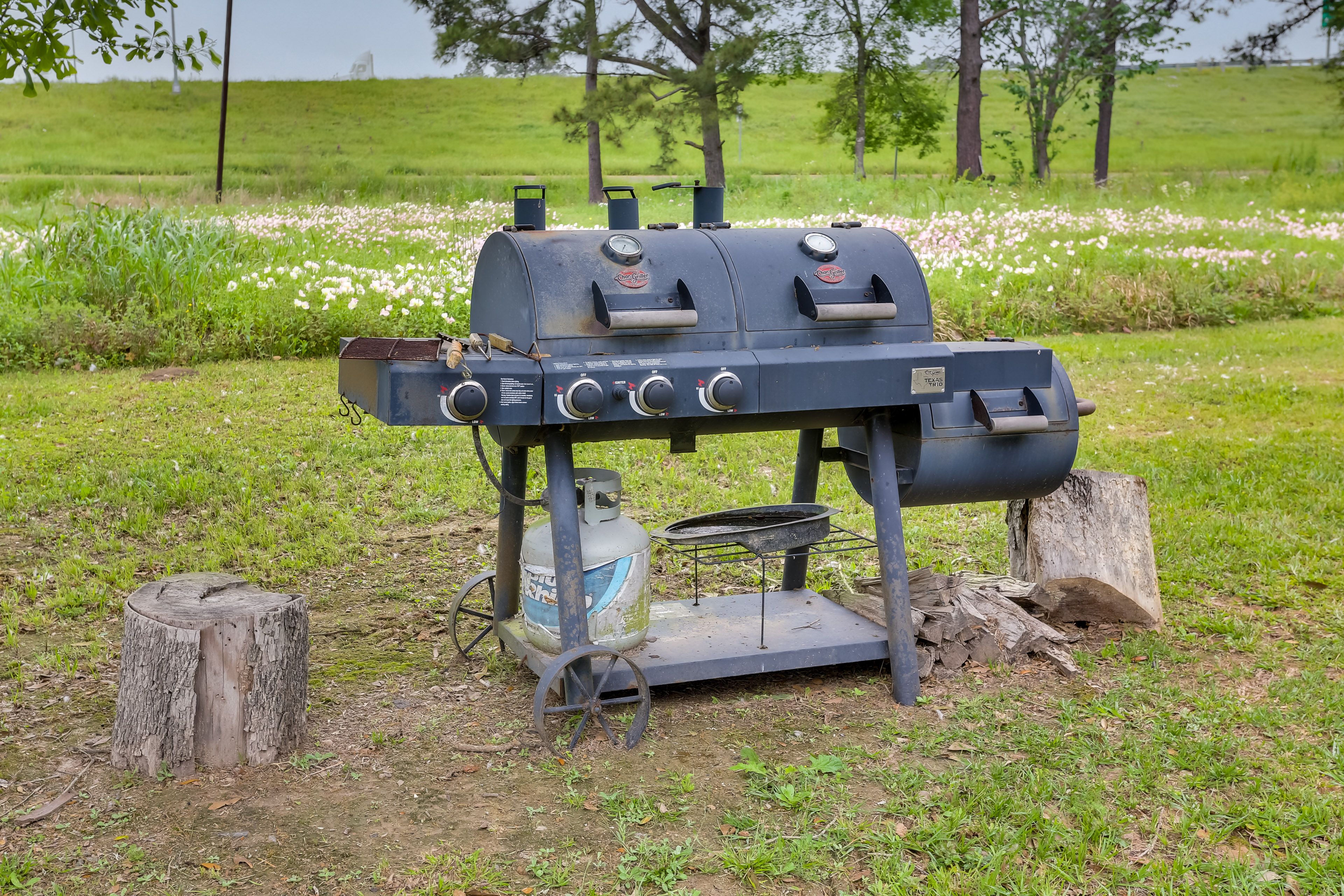 Image 22