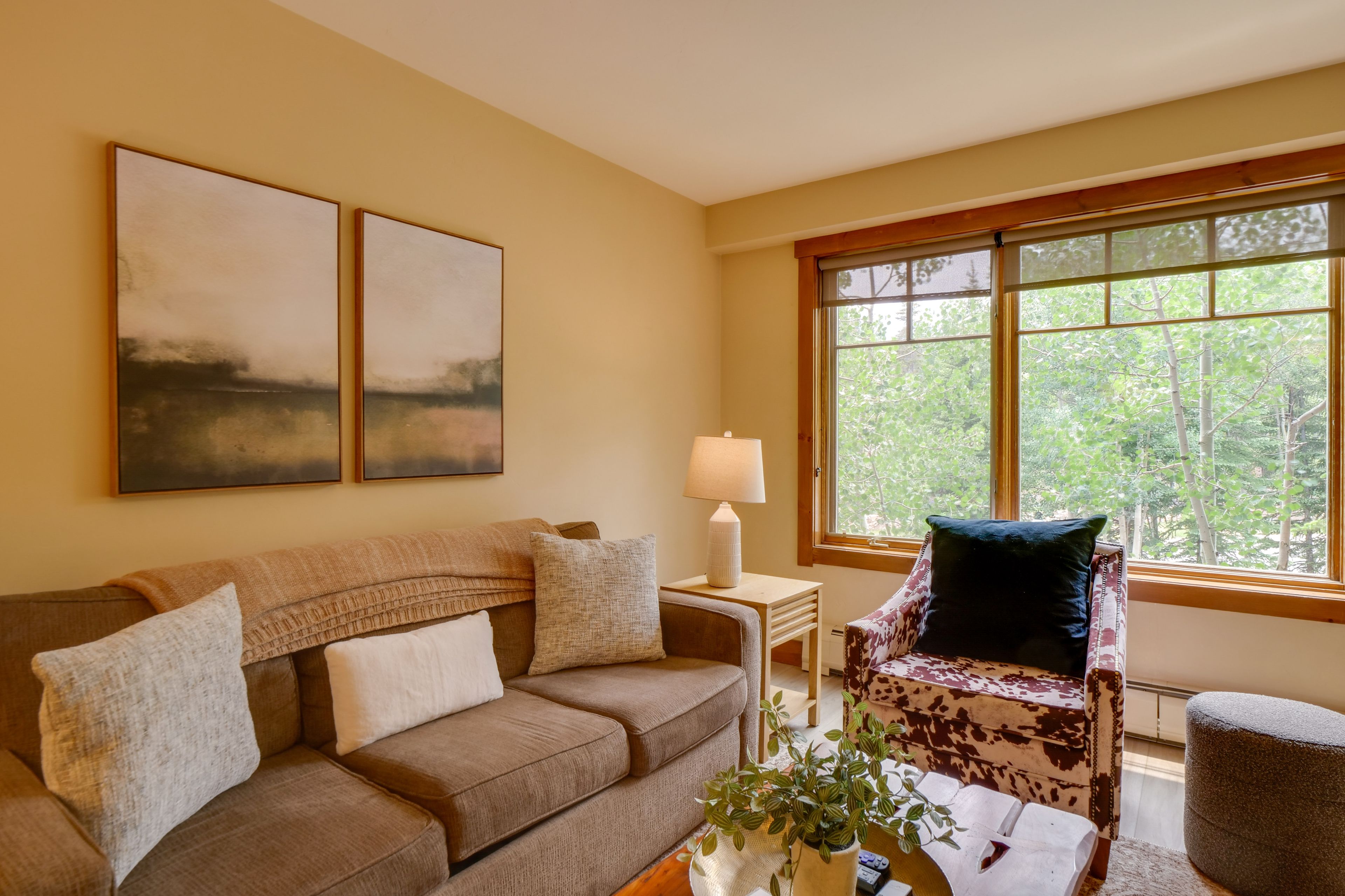 Living Room | Full Sleeper Sofa | Fireplace