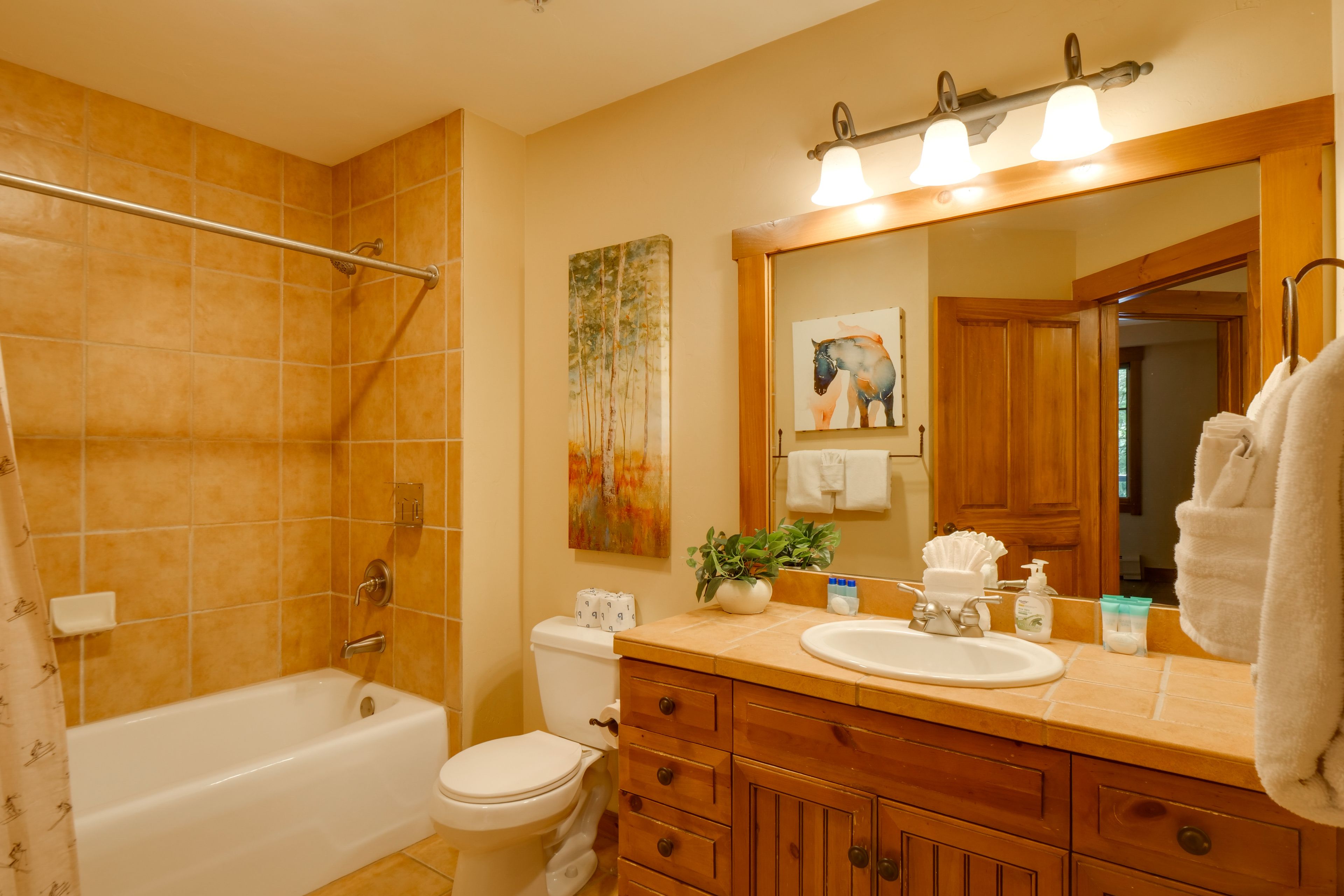 Full Bathroom | Towels Provided | Complimentary Toiletries