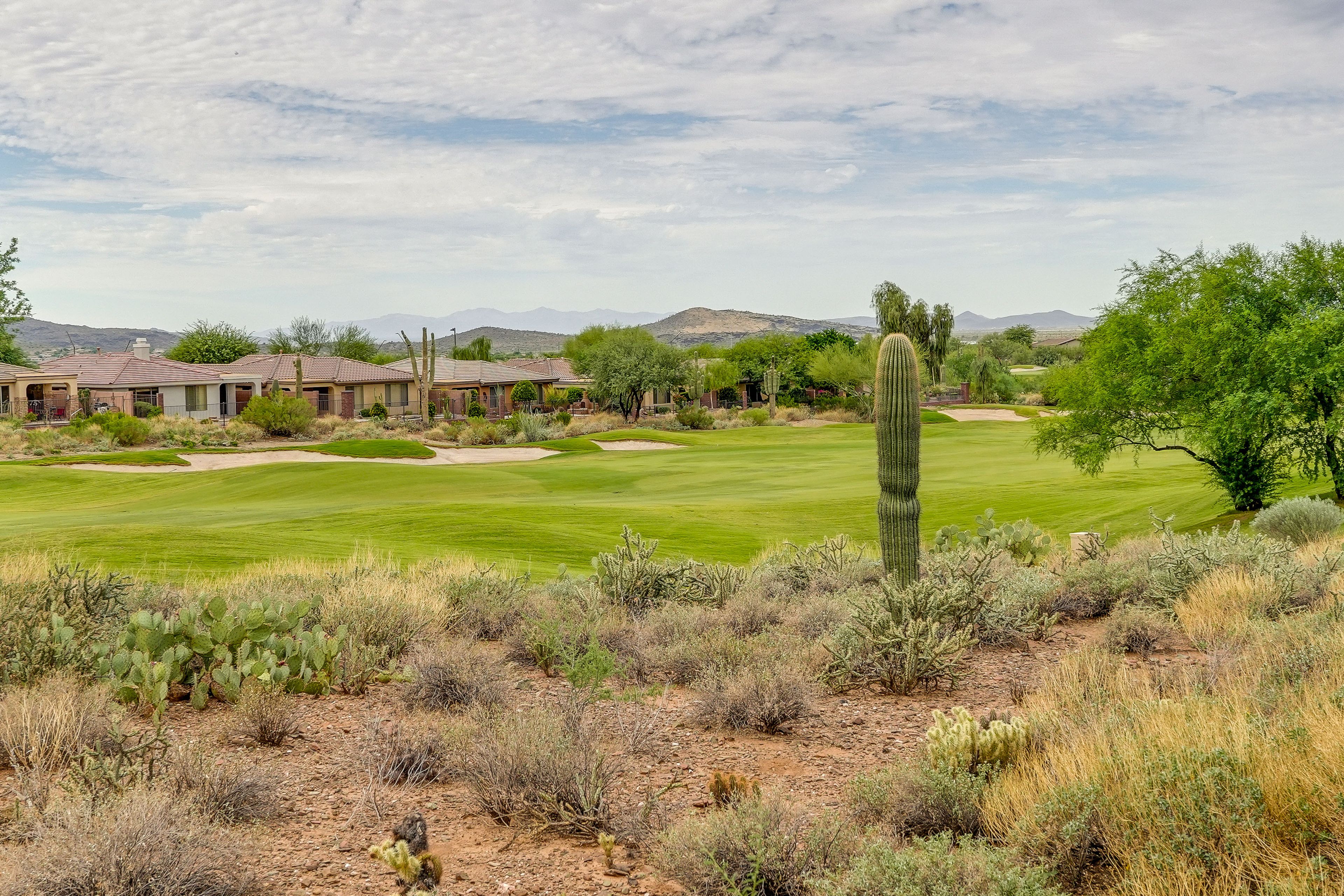 Golf Course Views