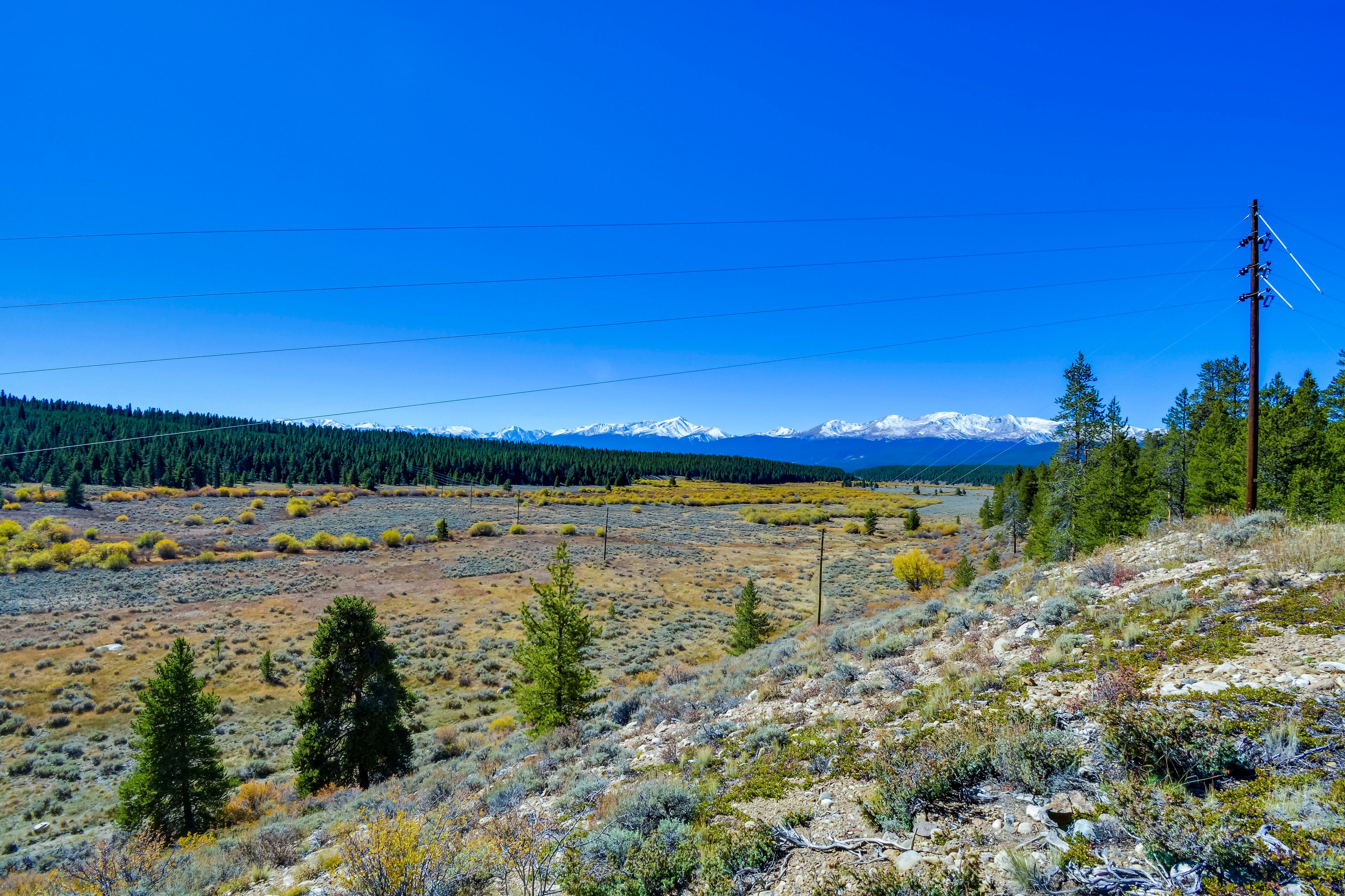 Surrounding Area