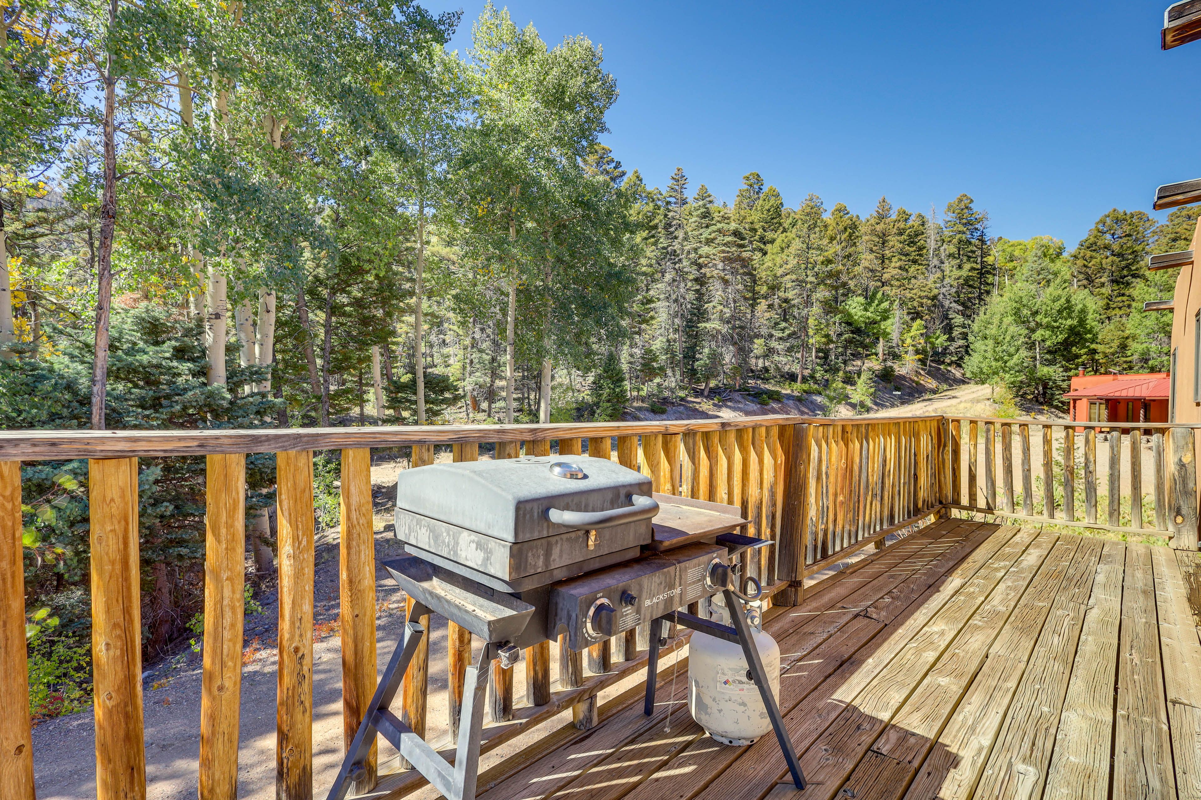 Private Deck | Gas Grill | Outdoor Dining Area | Hiking Trail Access On-Site
