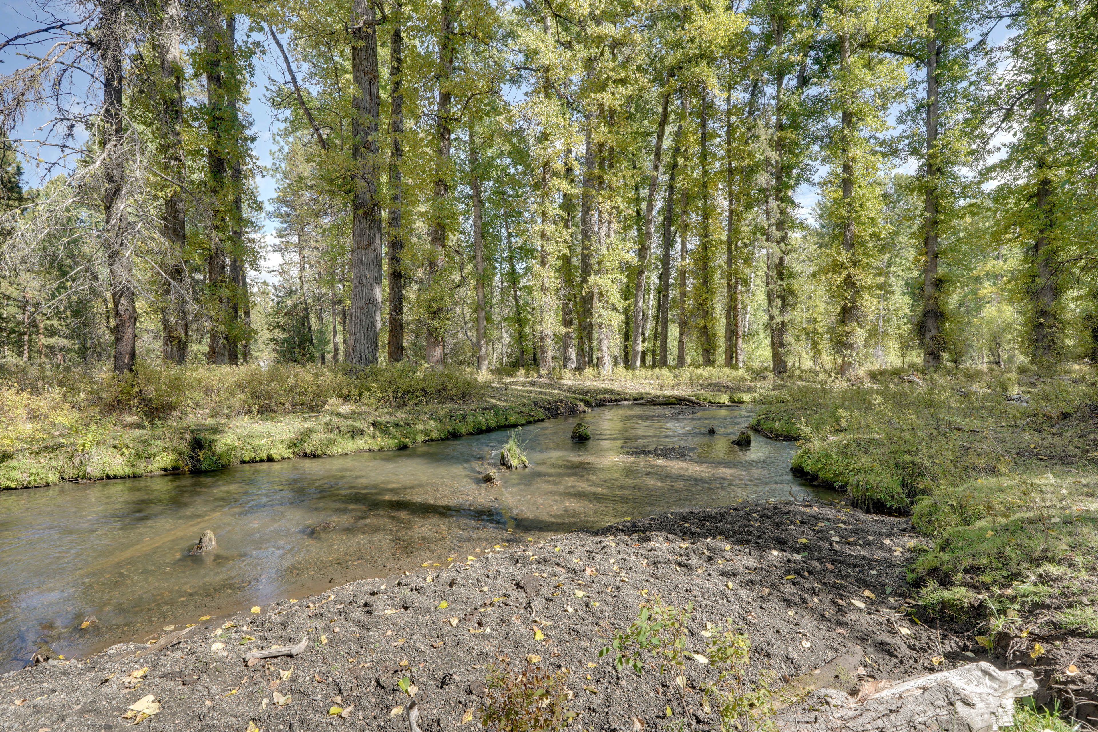 Nearby Creek