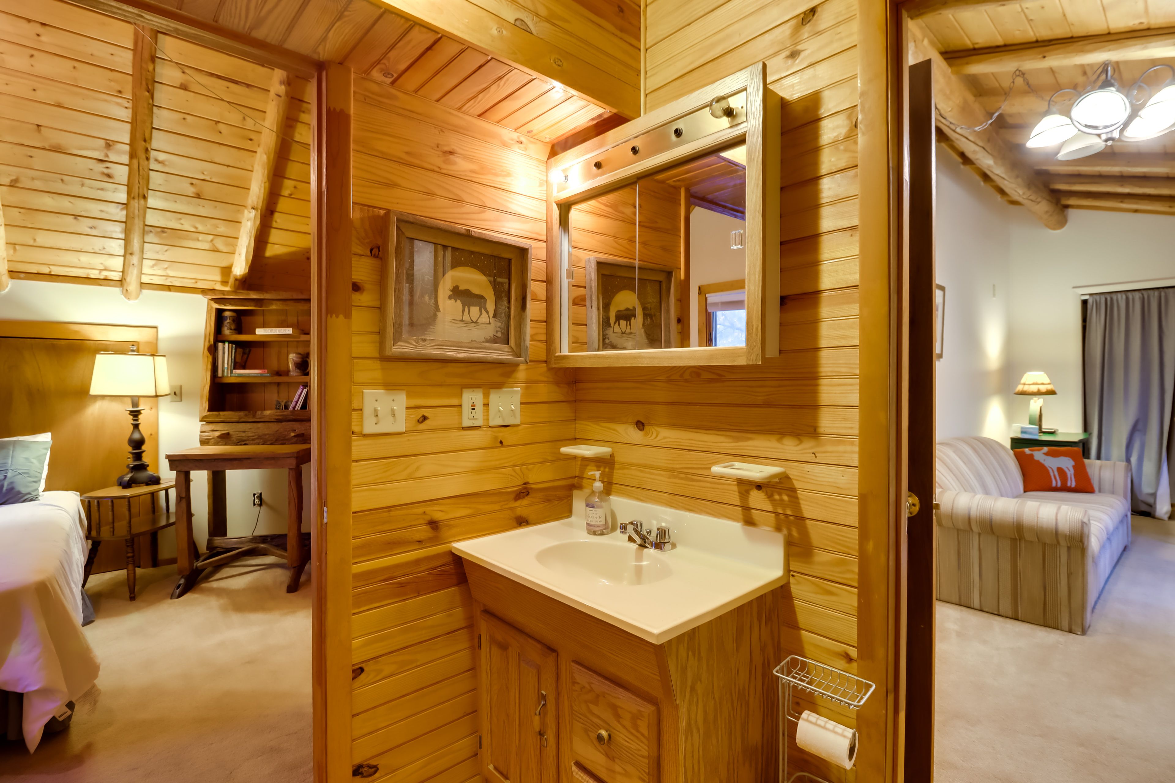 Jack-and-Jill Bathroom | Plastic Shower Grab Rail