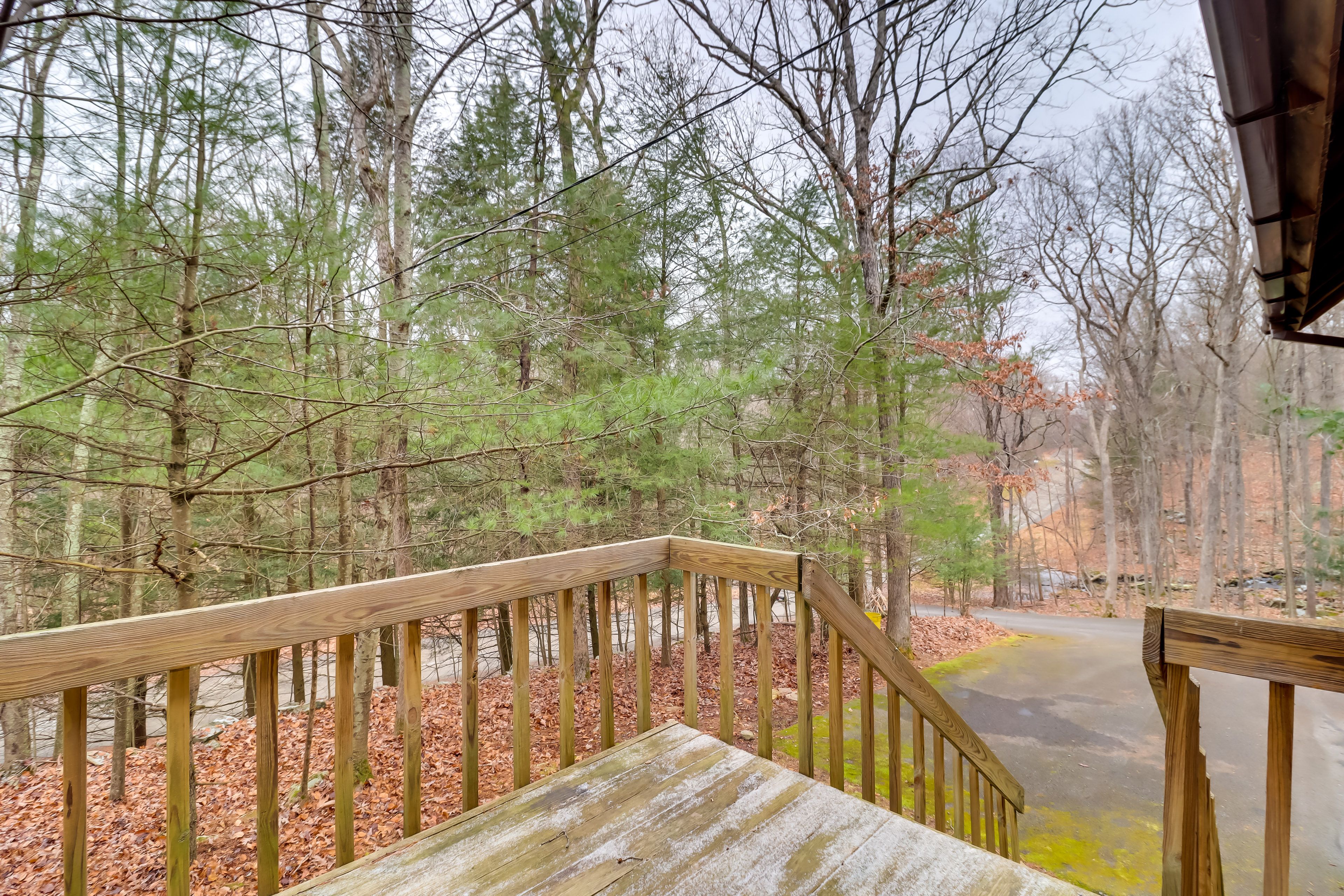 Back Deck