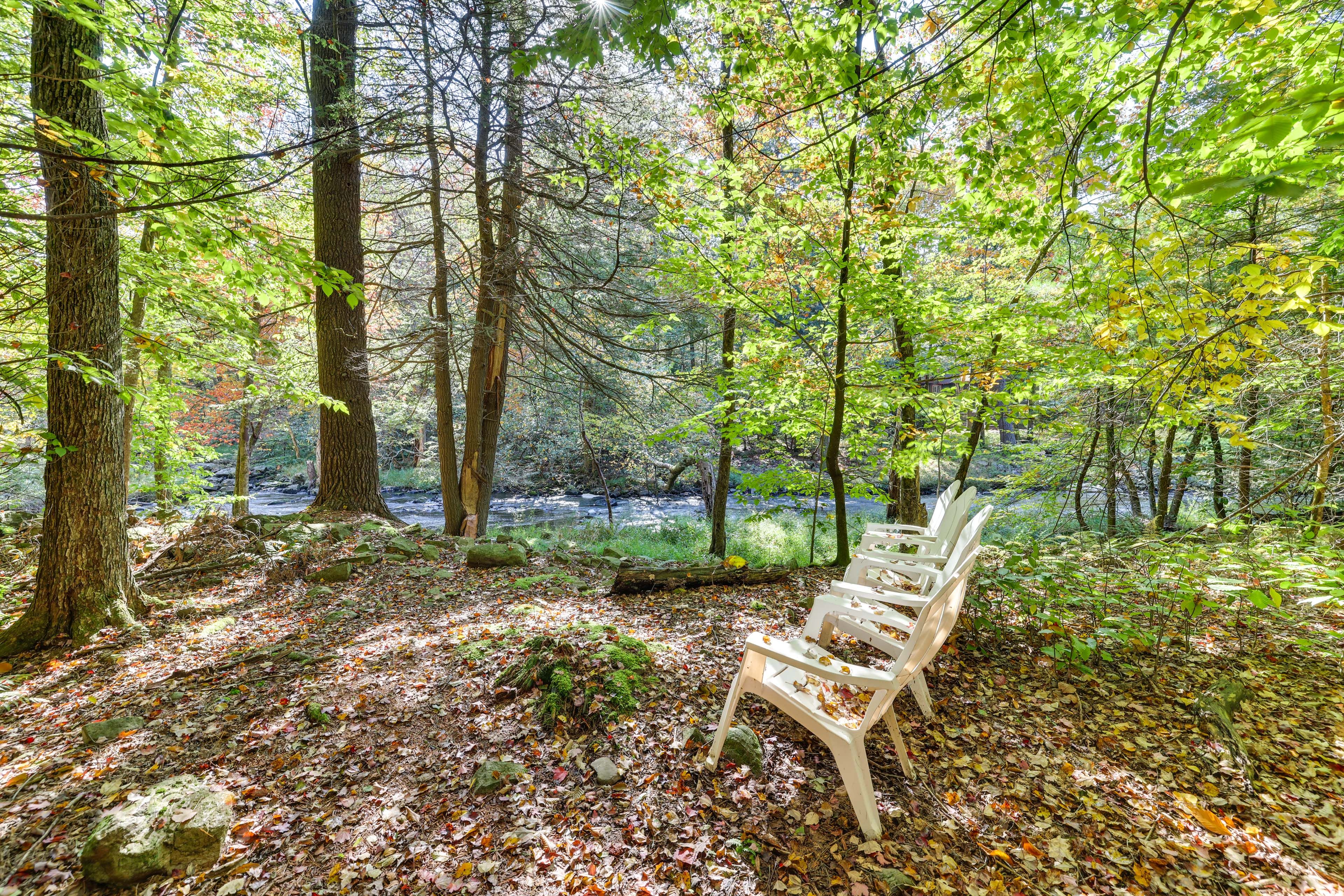 Upper Tunkhannock Creek On-Site