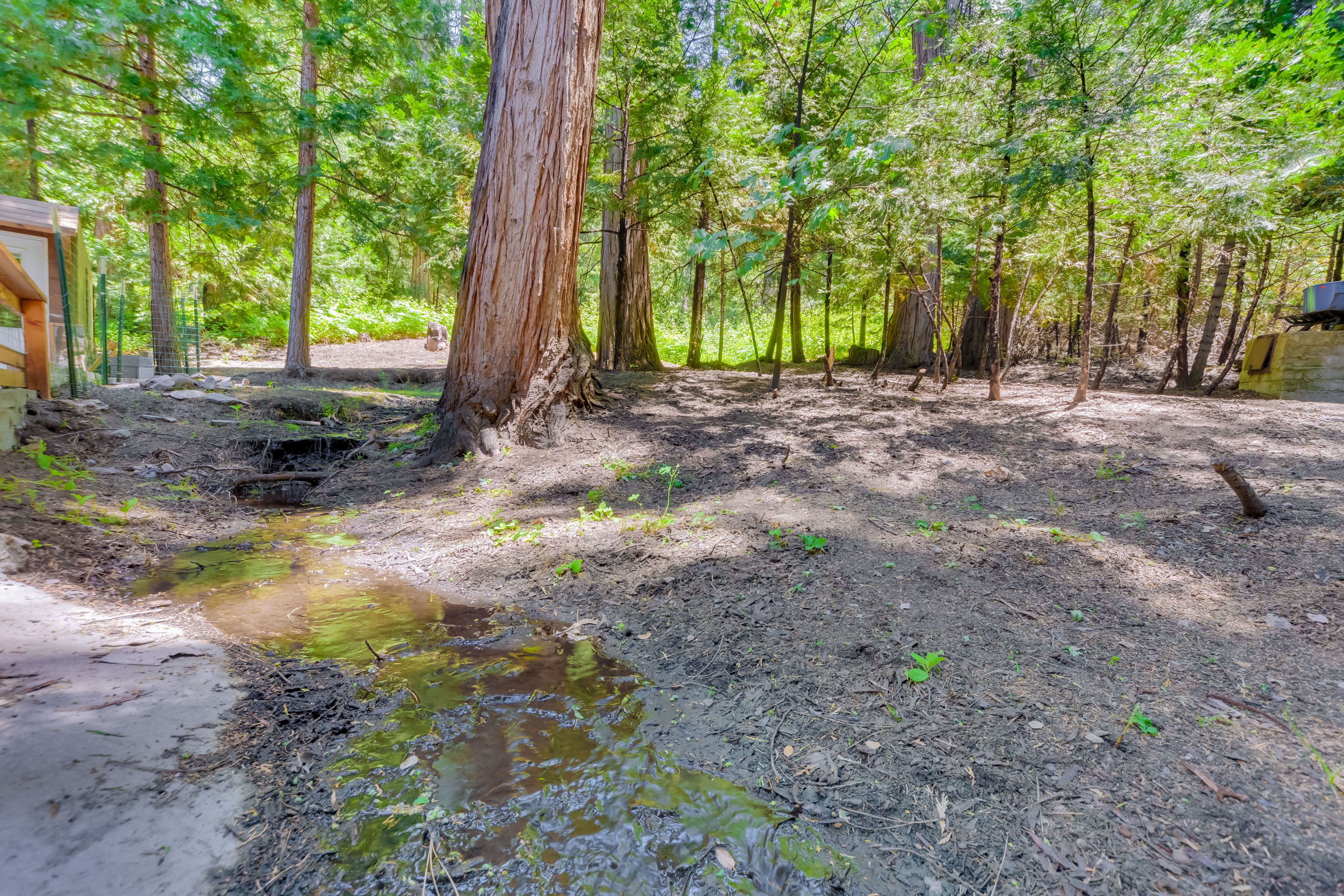 Stream On-Site