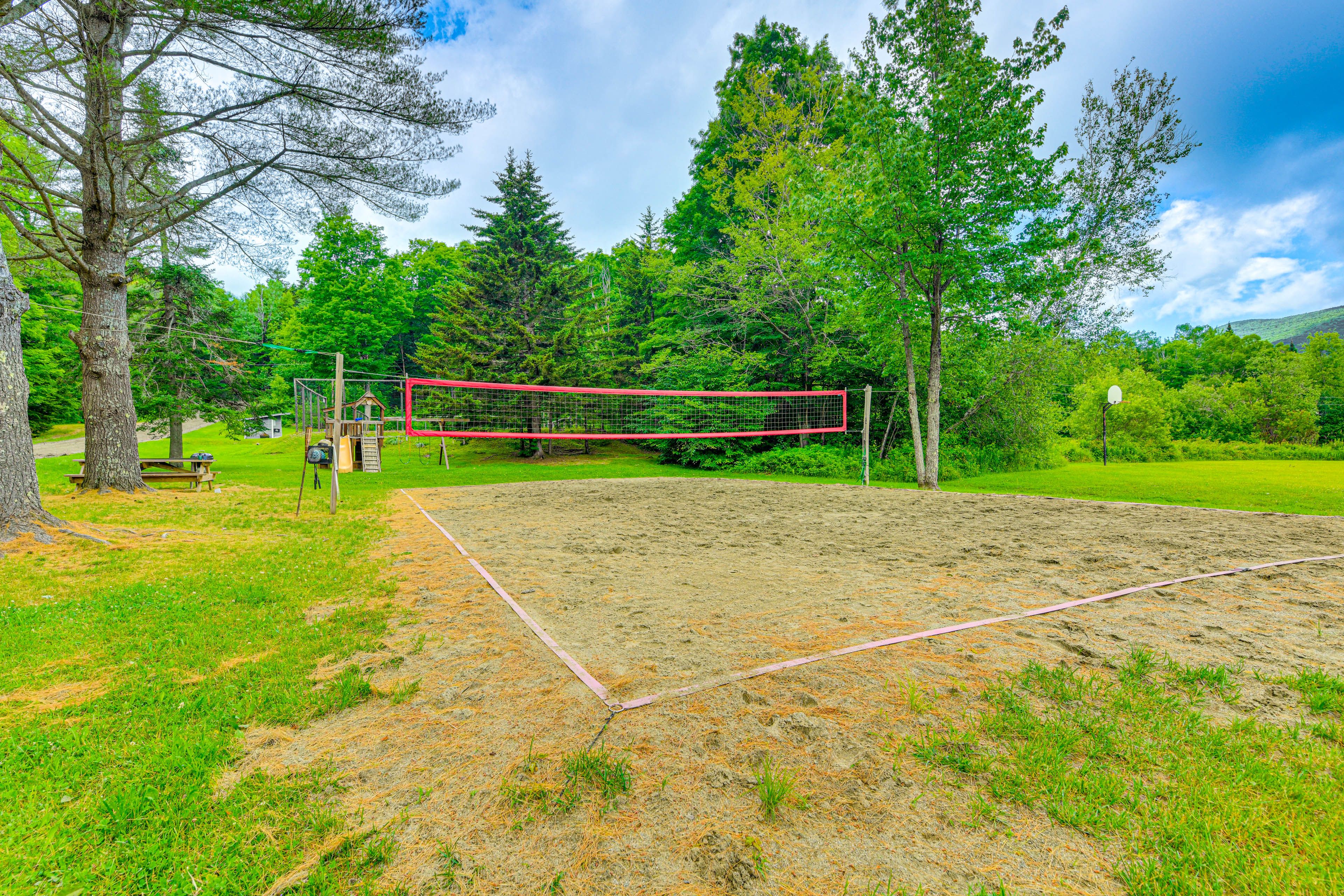 Volleyball Net